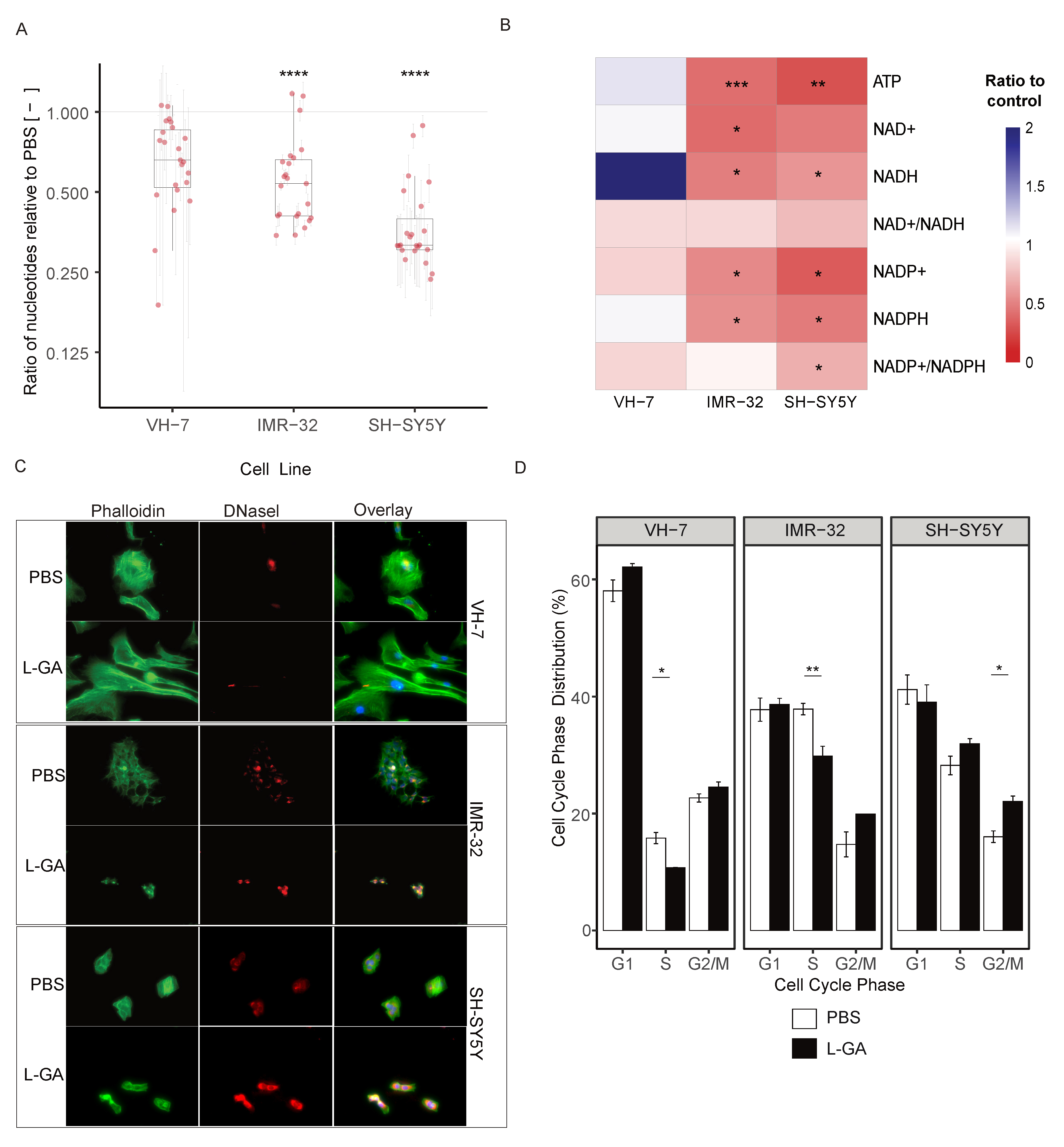 Cancers 16 01664 g003