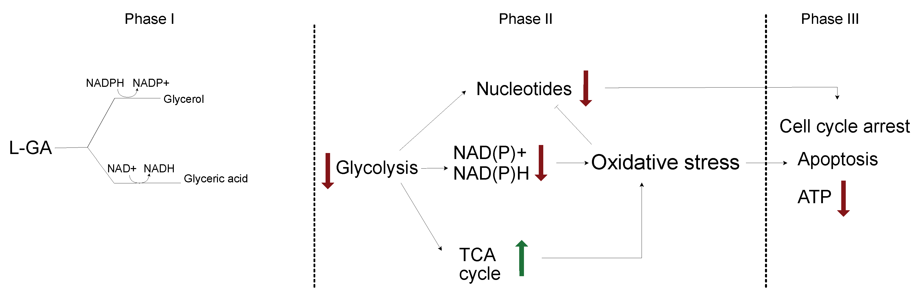 Cancers 16 01664 g008