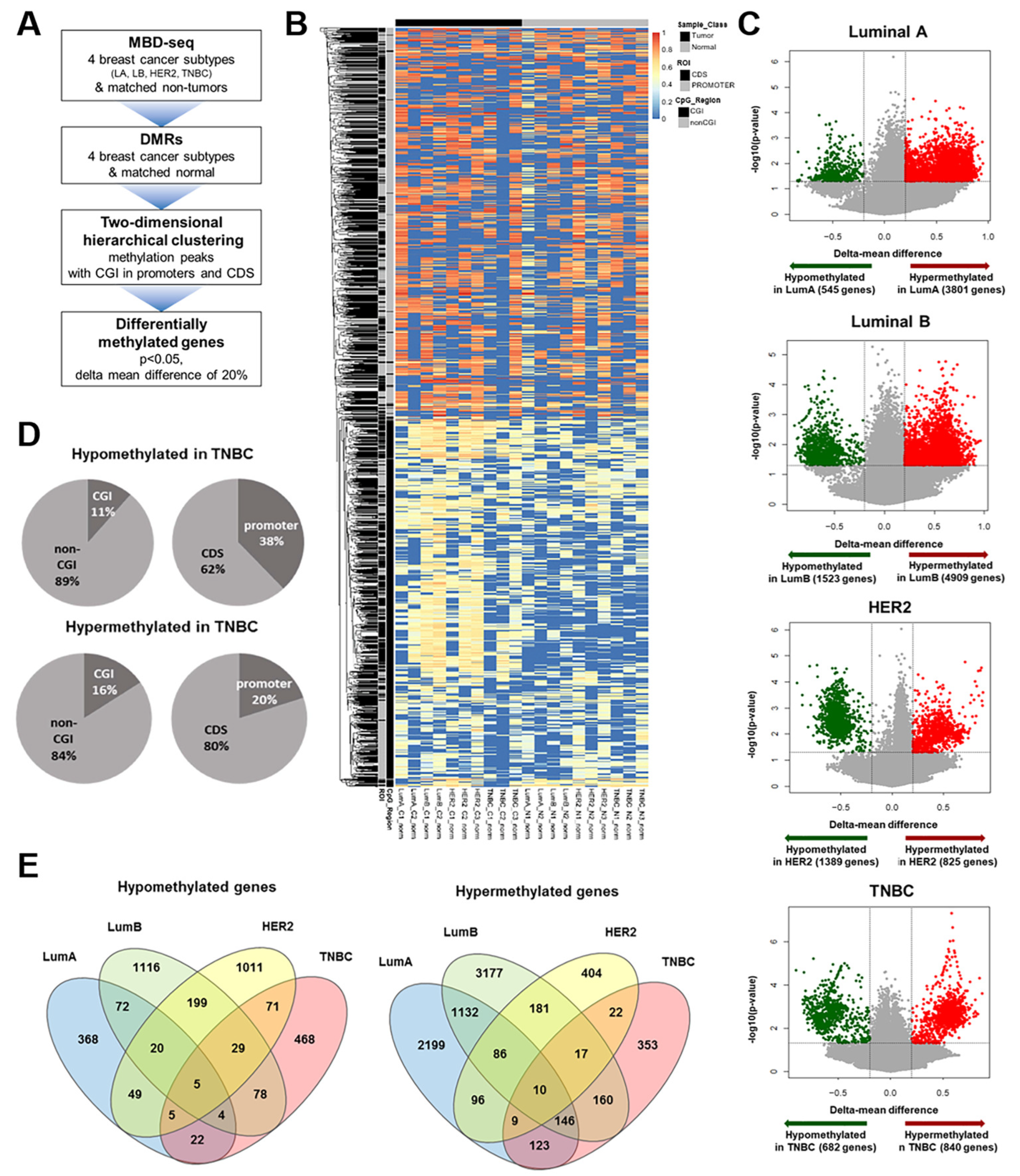 Cancers 16 01666 g001 Cancers 16 01666 g001