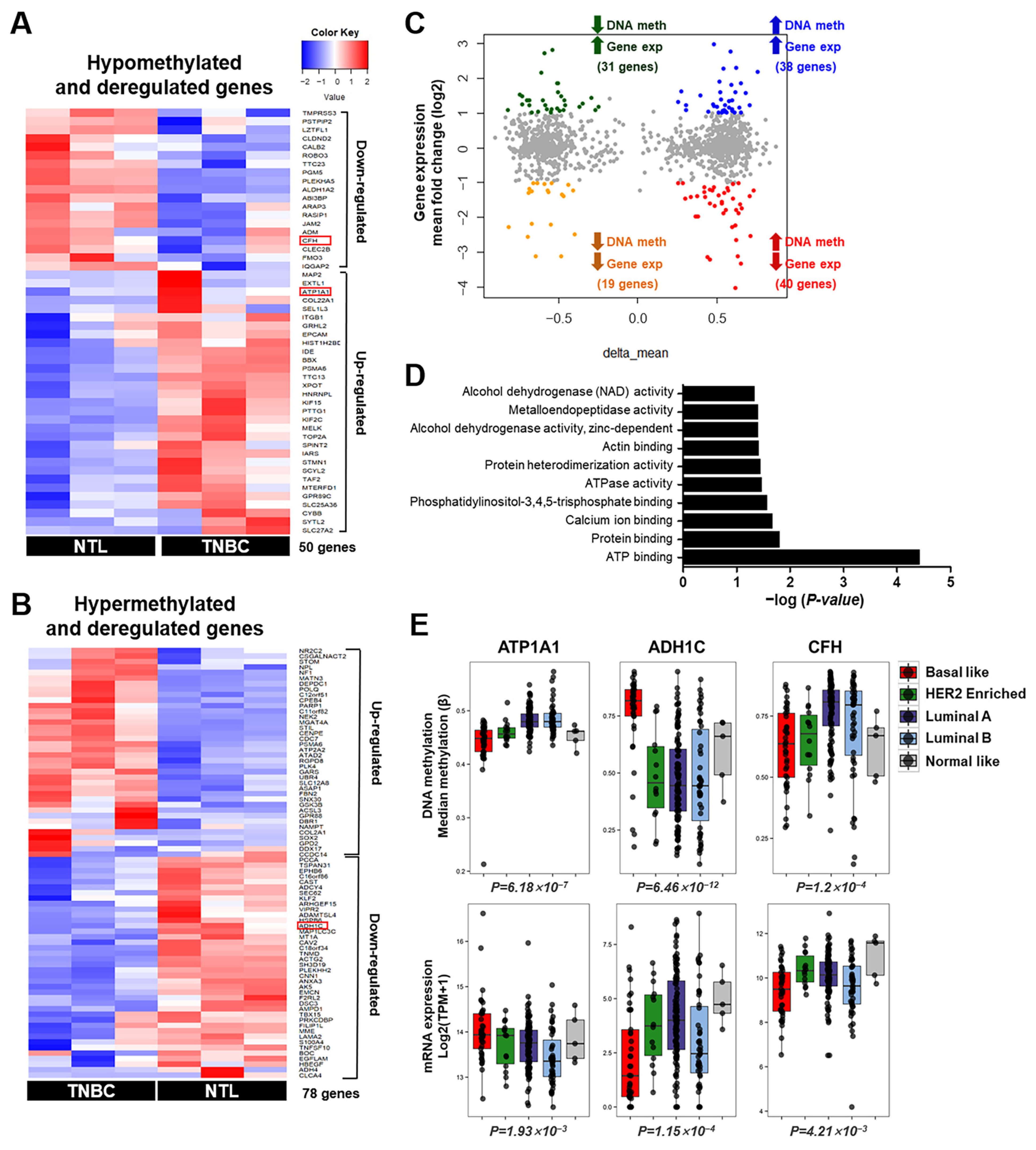 Cancers 16 01666 g002 Cancers 16 01666 g002