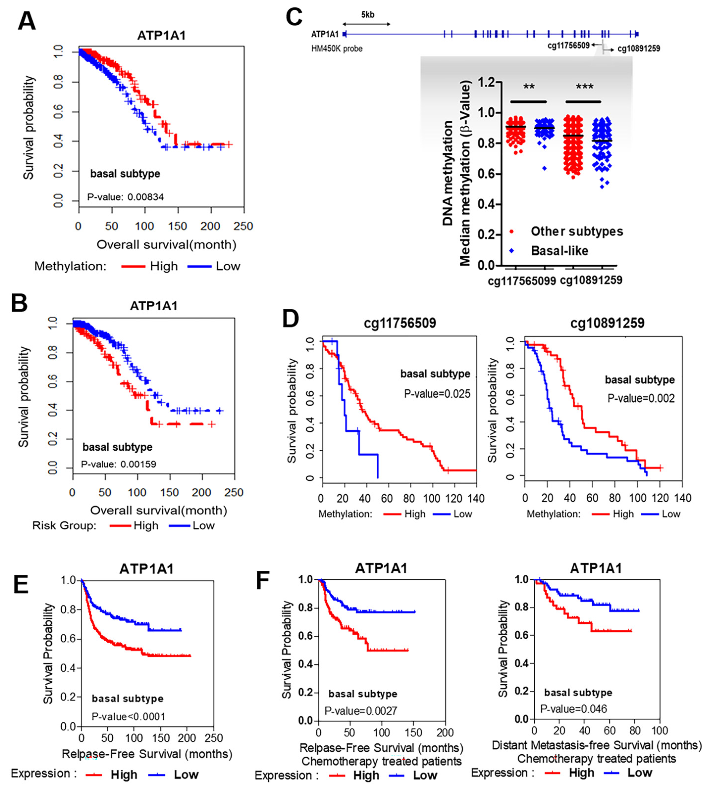 Cancers 16 01666 g003 Cancers 16 01666 g003