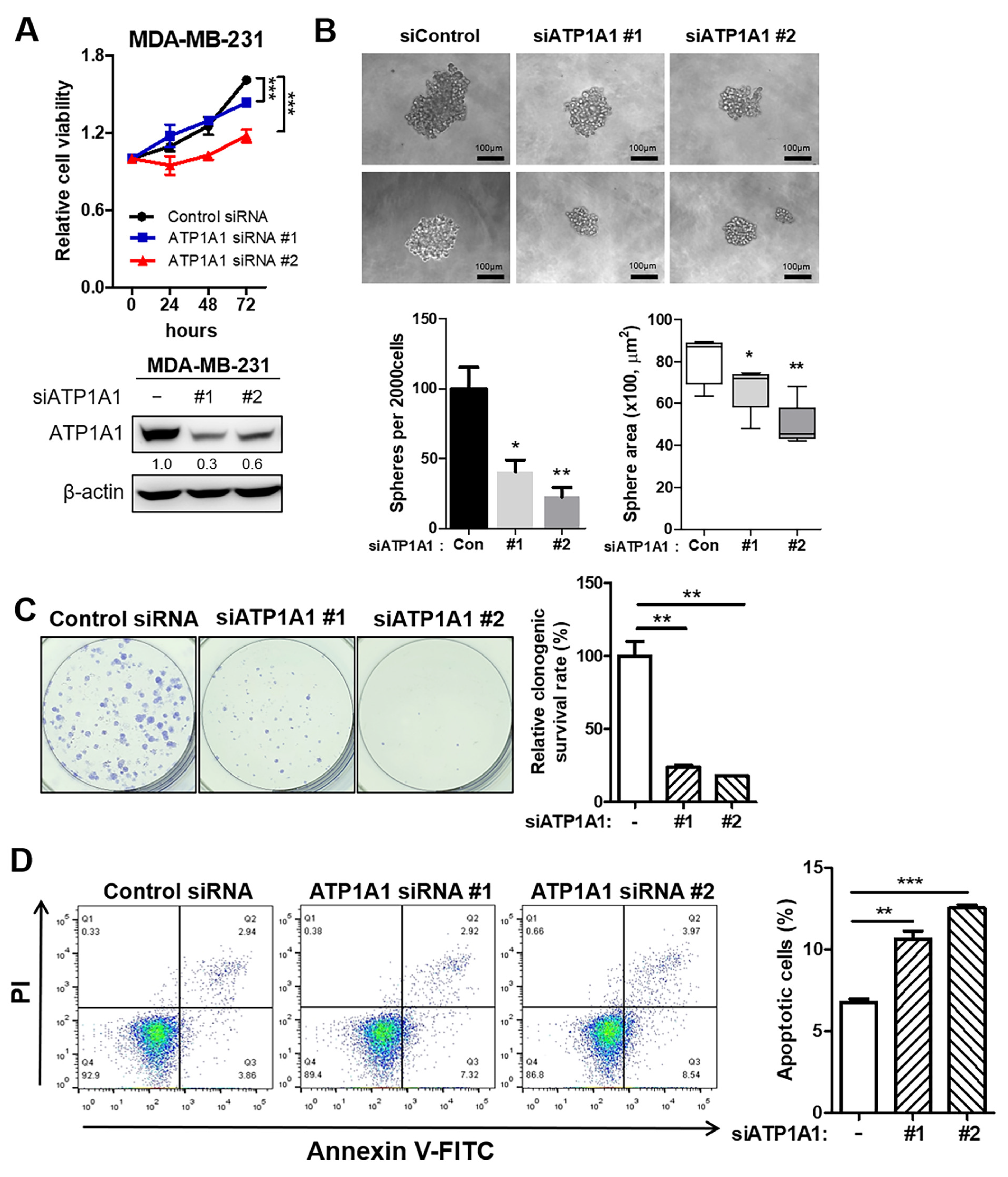 Cancers 16 01666 g005 Cancers 16 01666 g005
