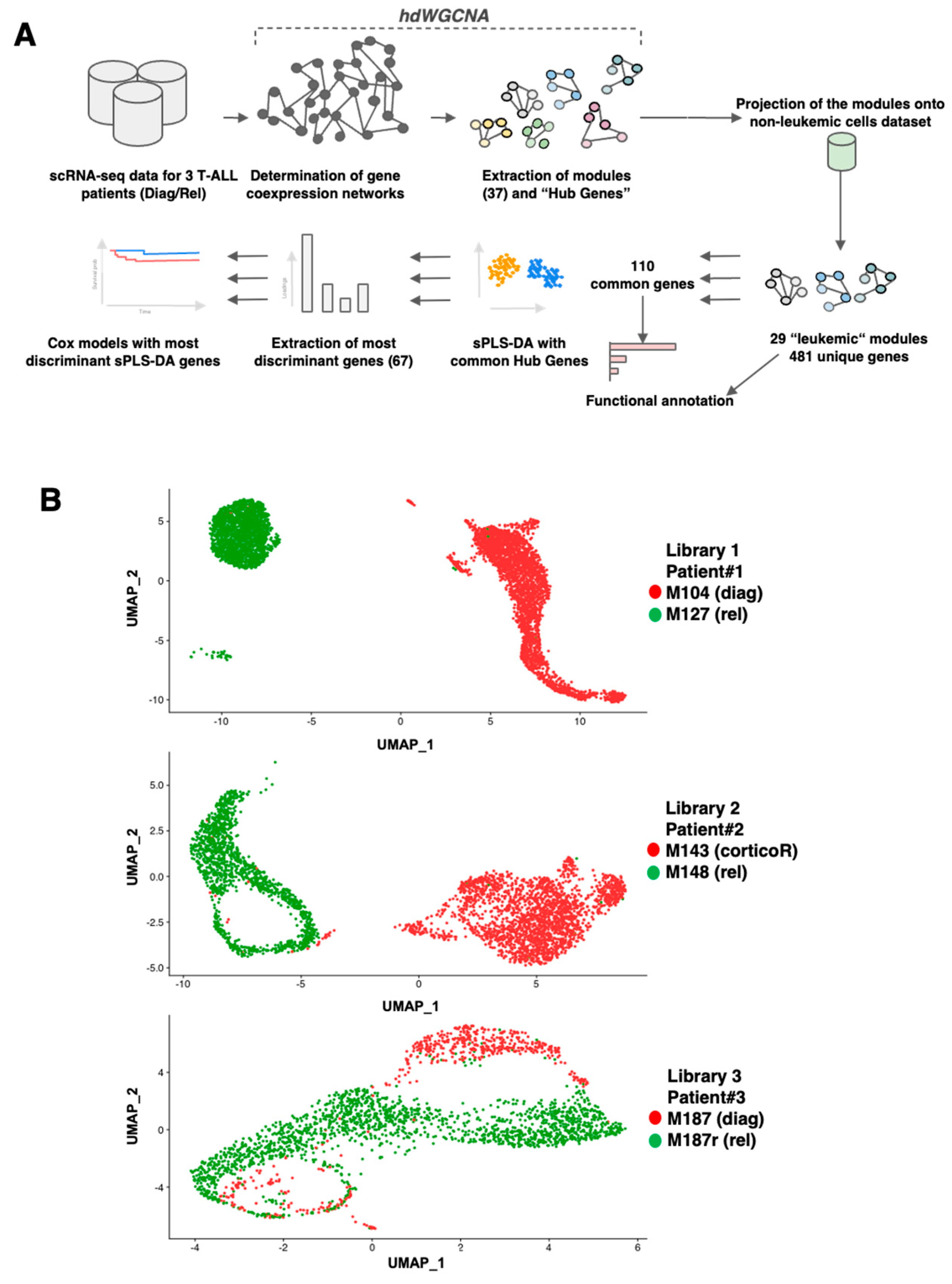 Cancers 16 01667 g001