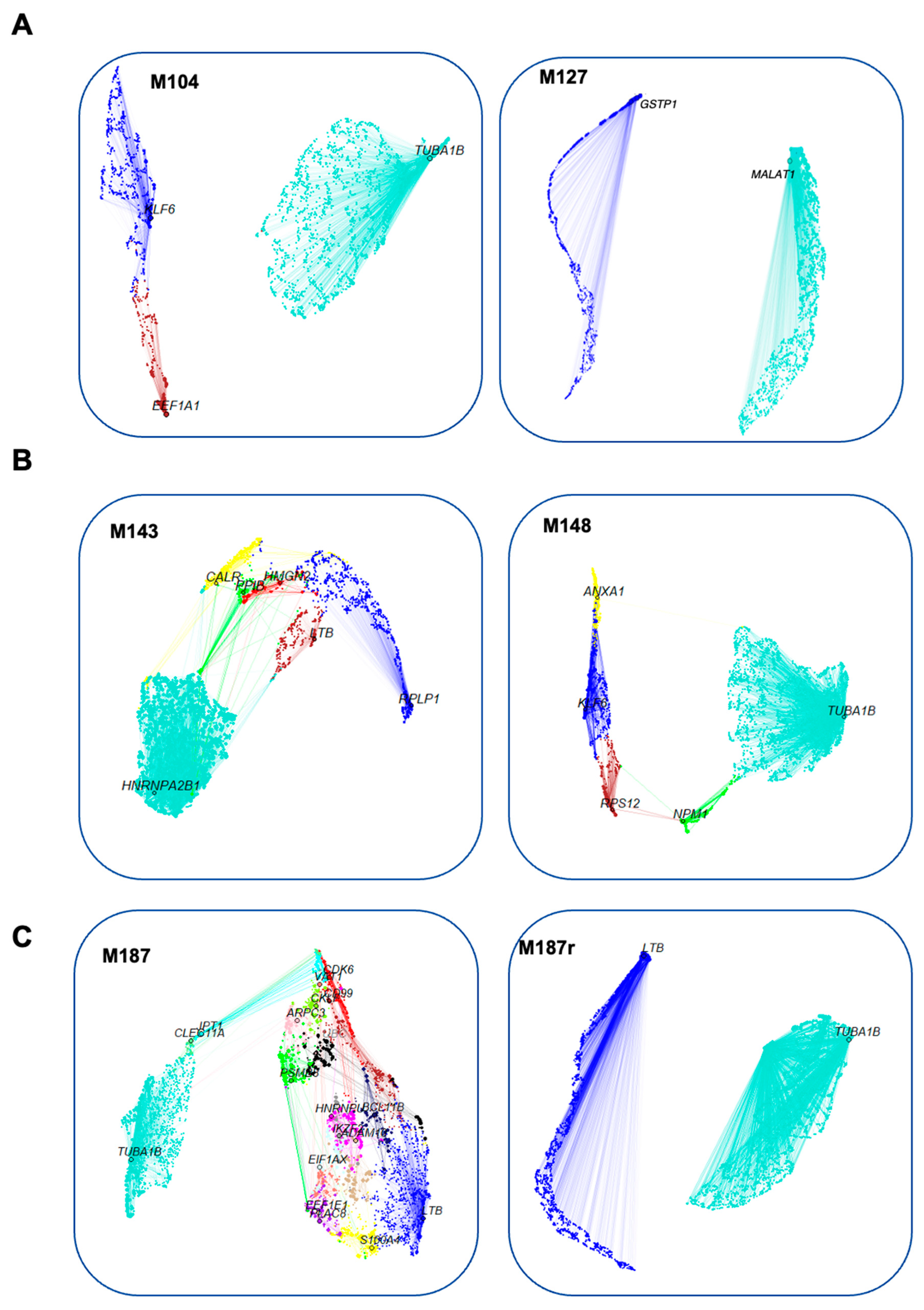 Cancers 16 01667 g002