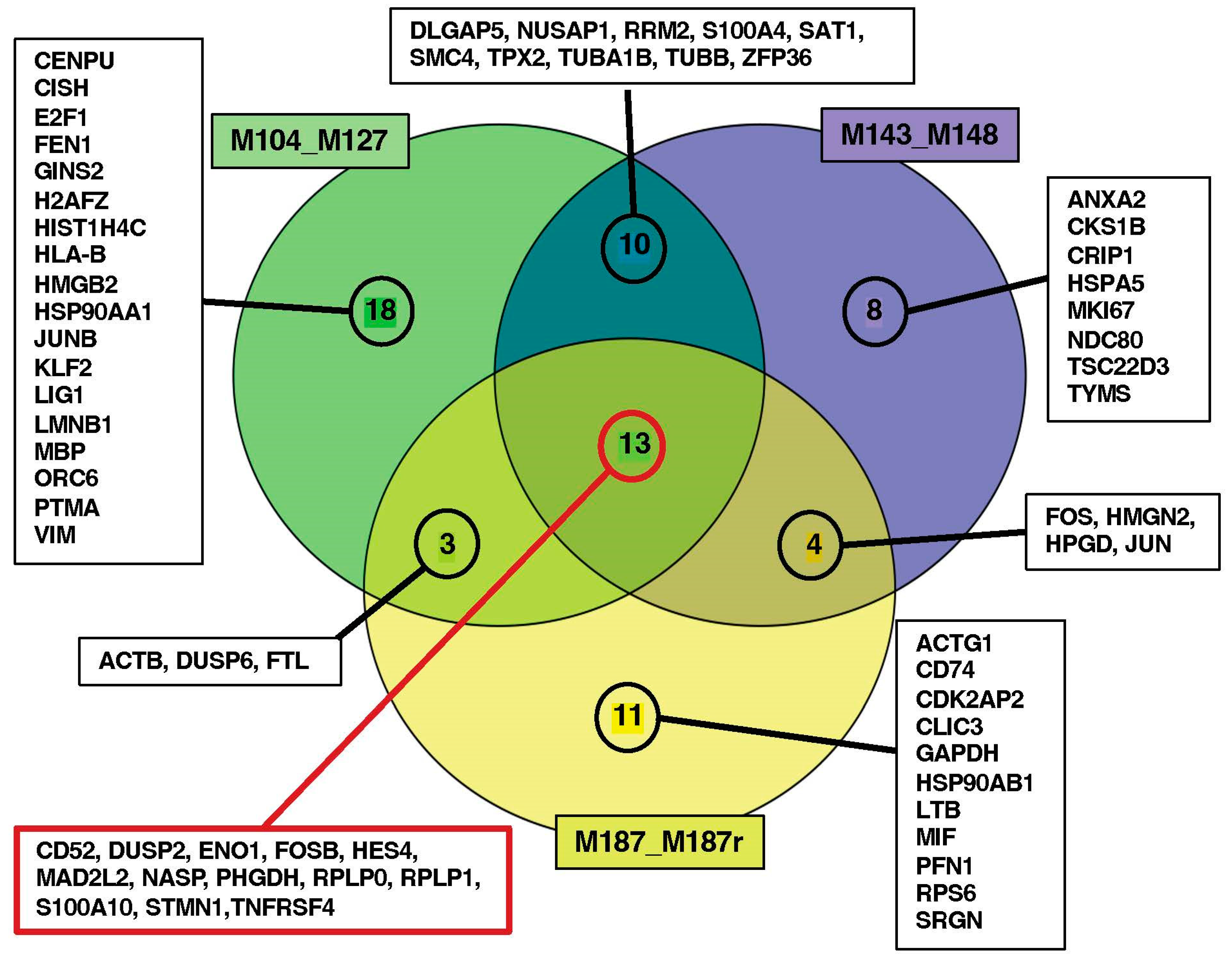 Cancers 16 01667 g004