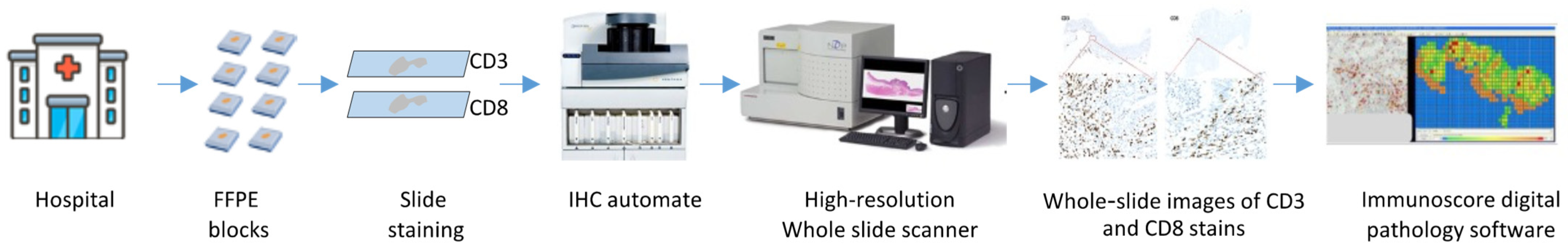 Cancers 16 01686 g001