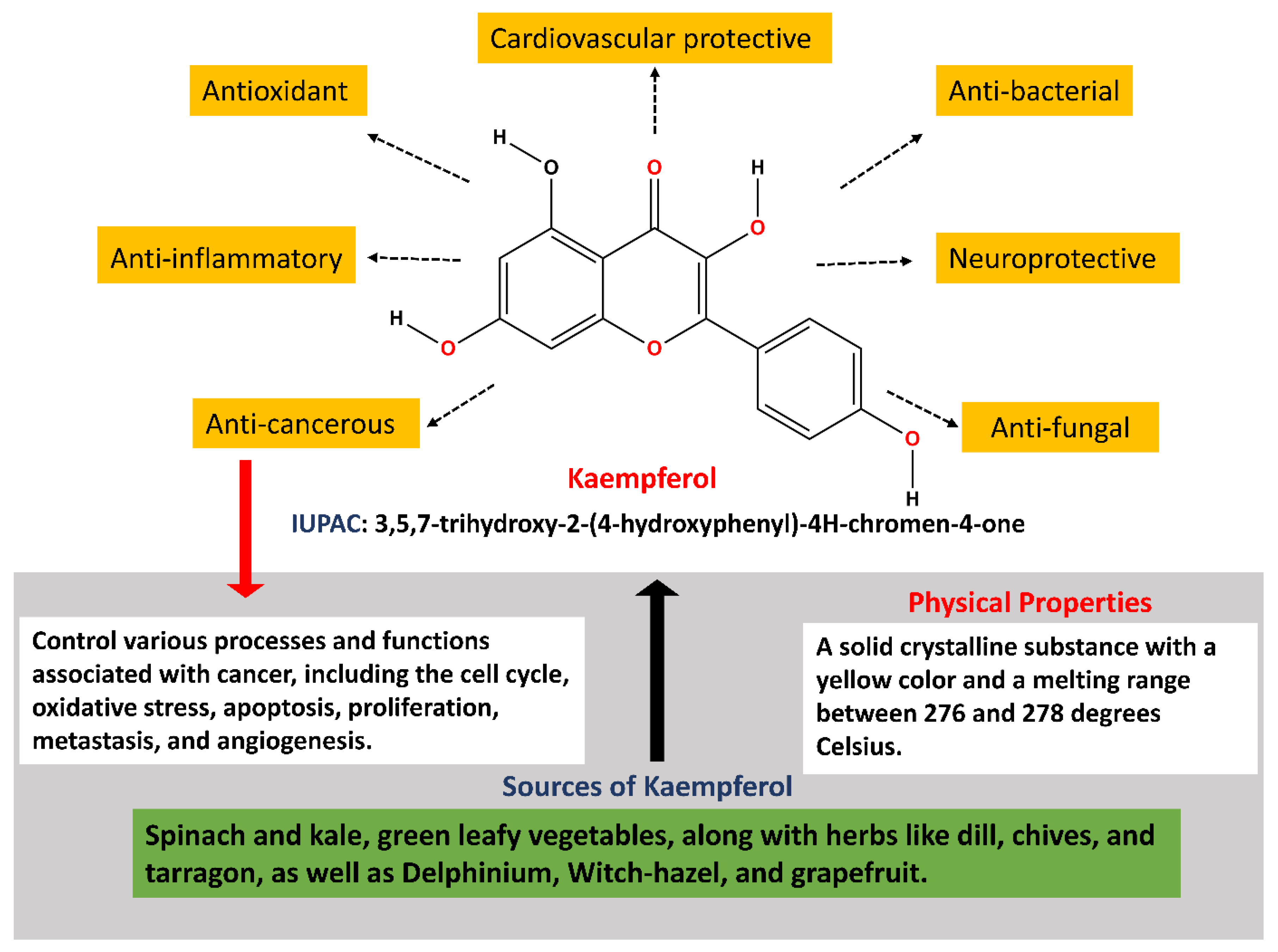 Cancers 16 01711 g001