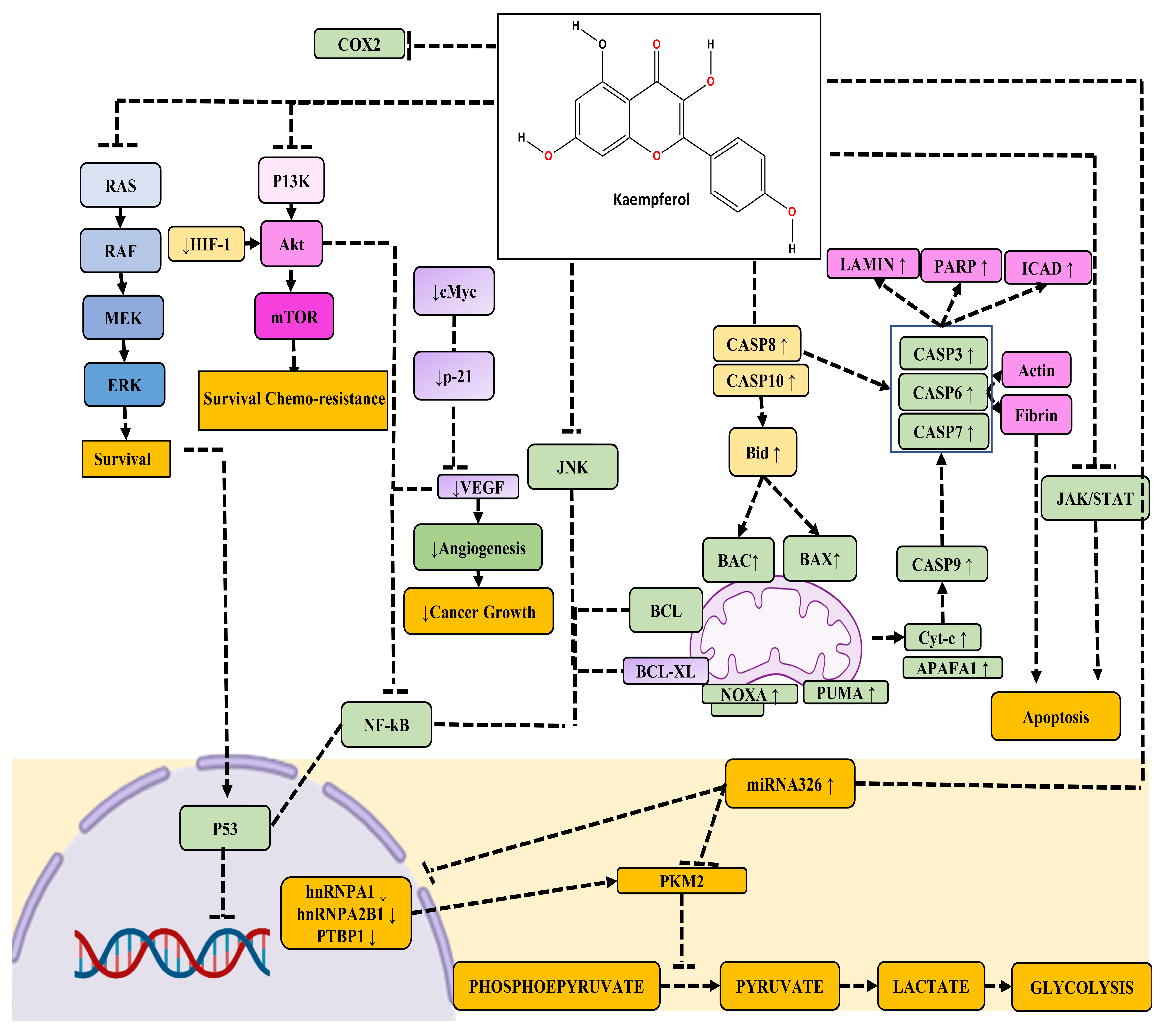 Cancers 16 01711 g004