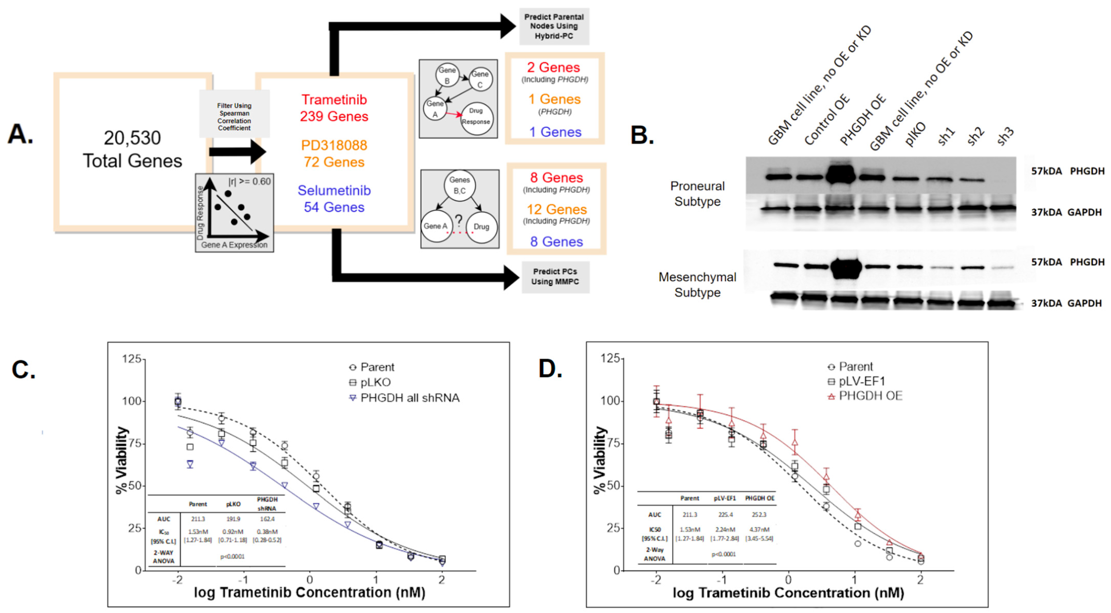 Cancers 16 01723 g003