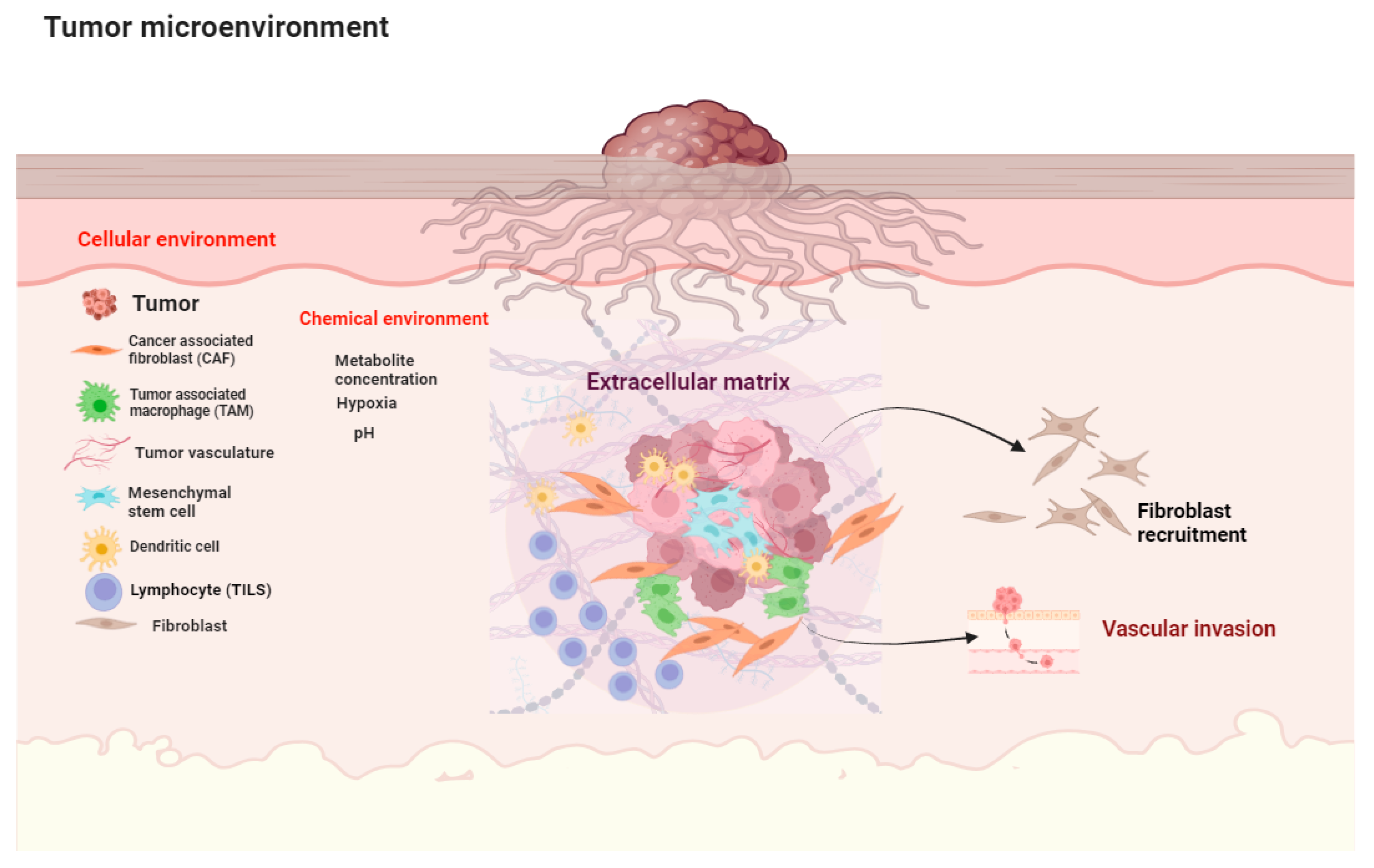 Cancers 16 01727 g001 Cancers 16 01727 g001