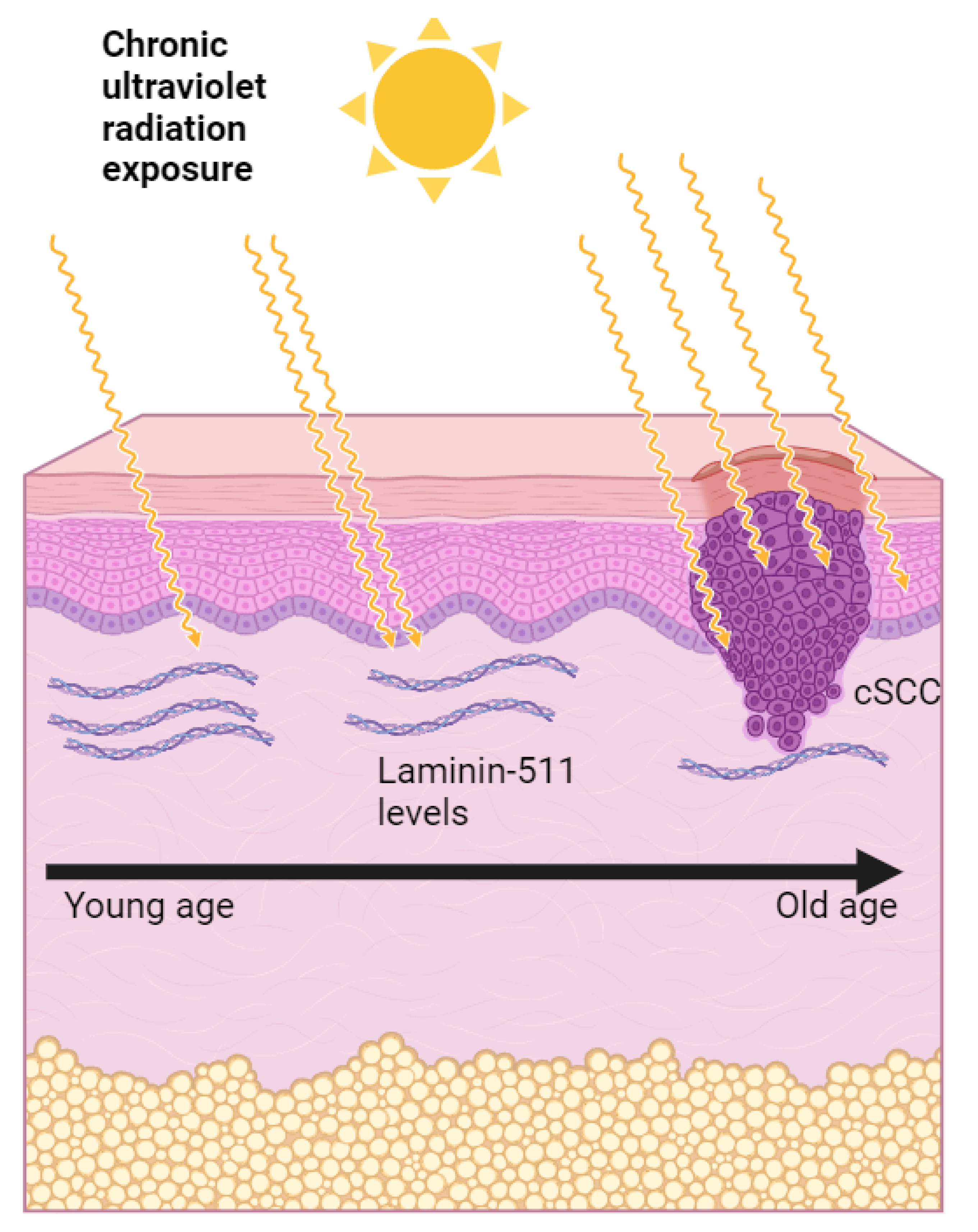 Cancers 16 01727 g002 Cancers 16 01727 g002