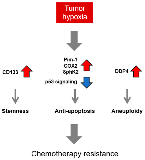 フィギュア（NPY） The Joubert Syndrome-associated Missense Mutation (V443D) in