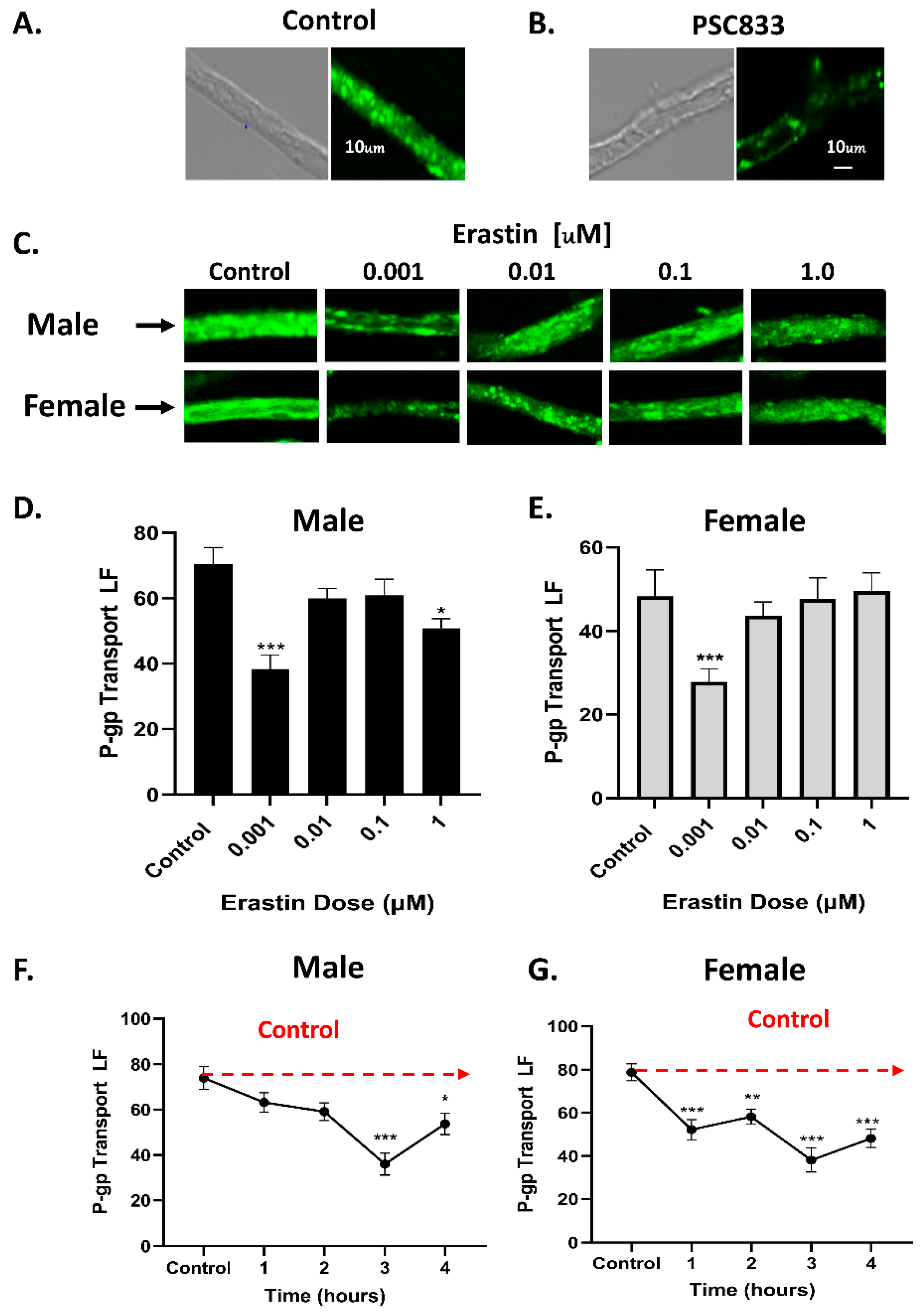 Cancers 16 01733 g001