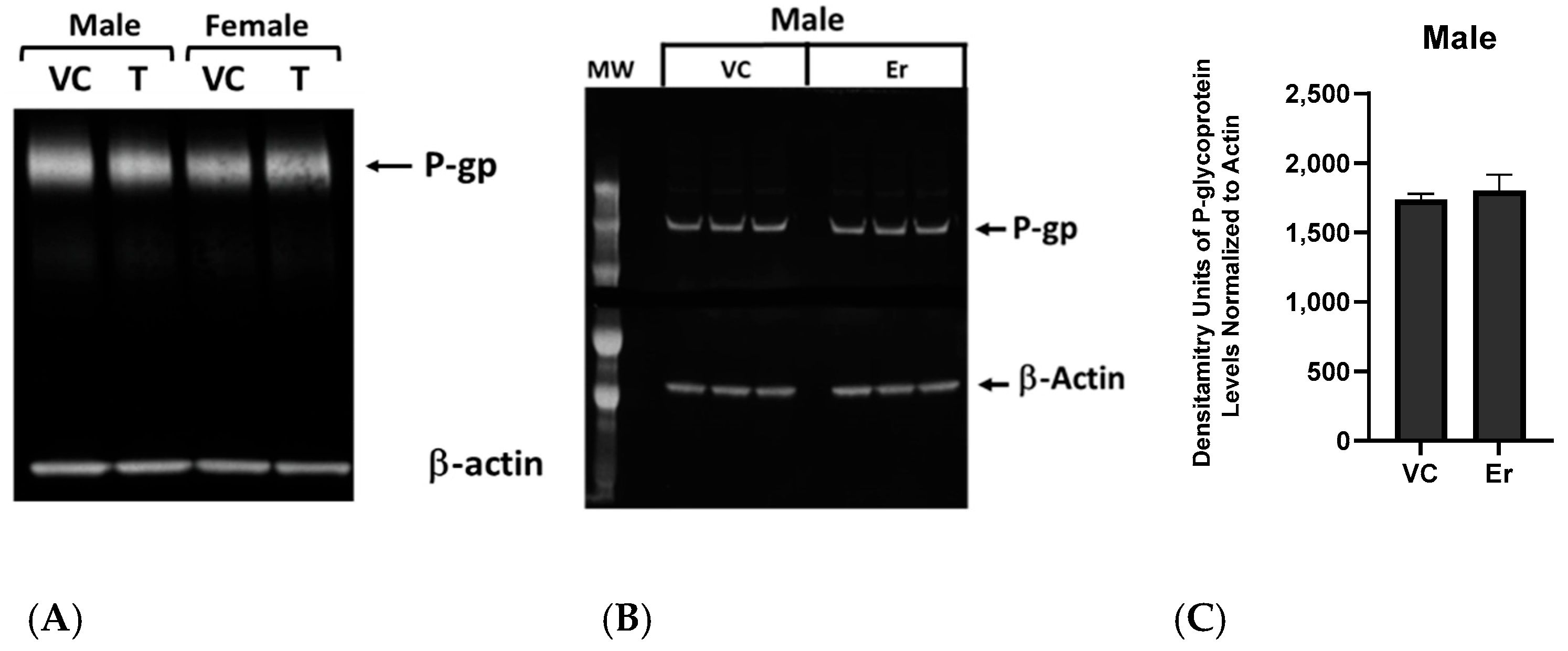 Cancers 16 01733 g004