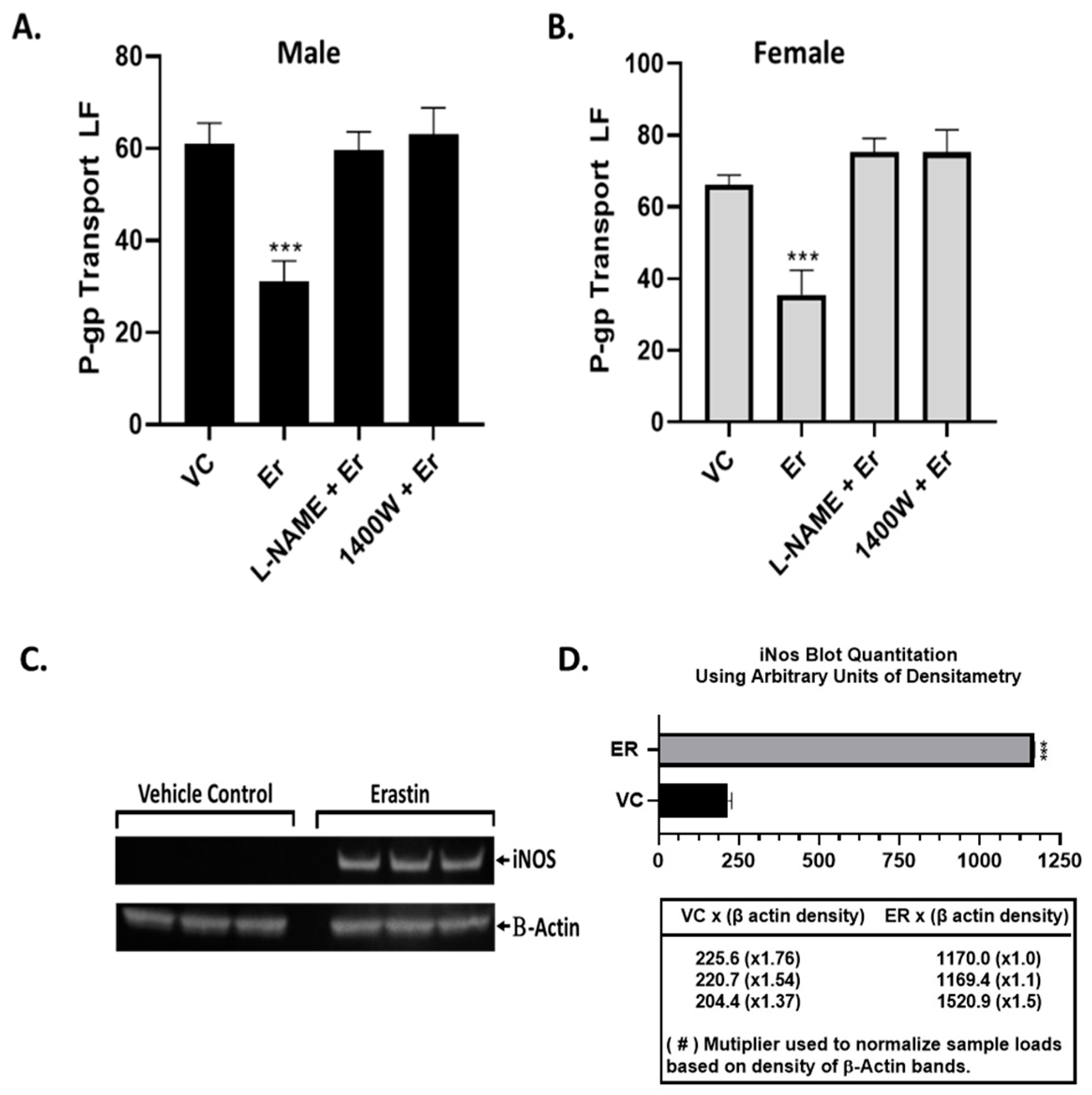 Cancers 16 01733 g006