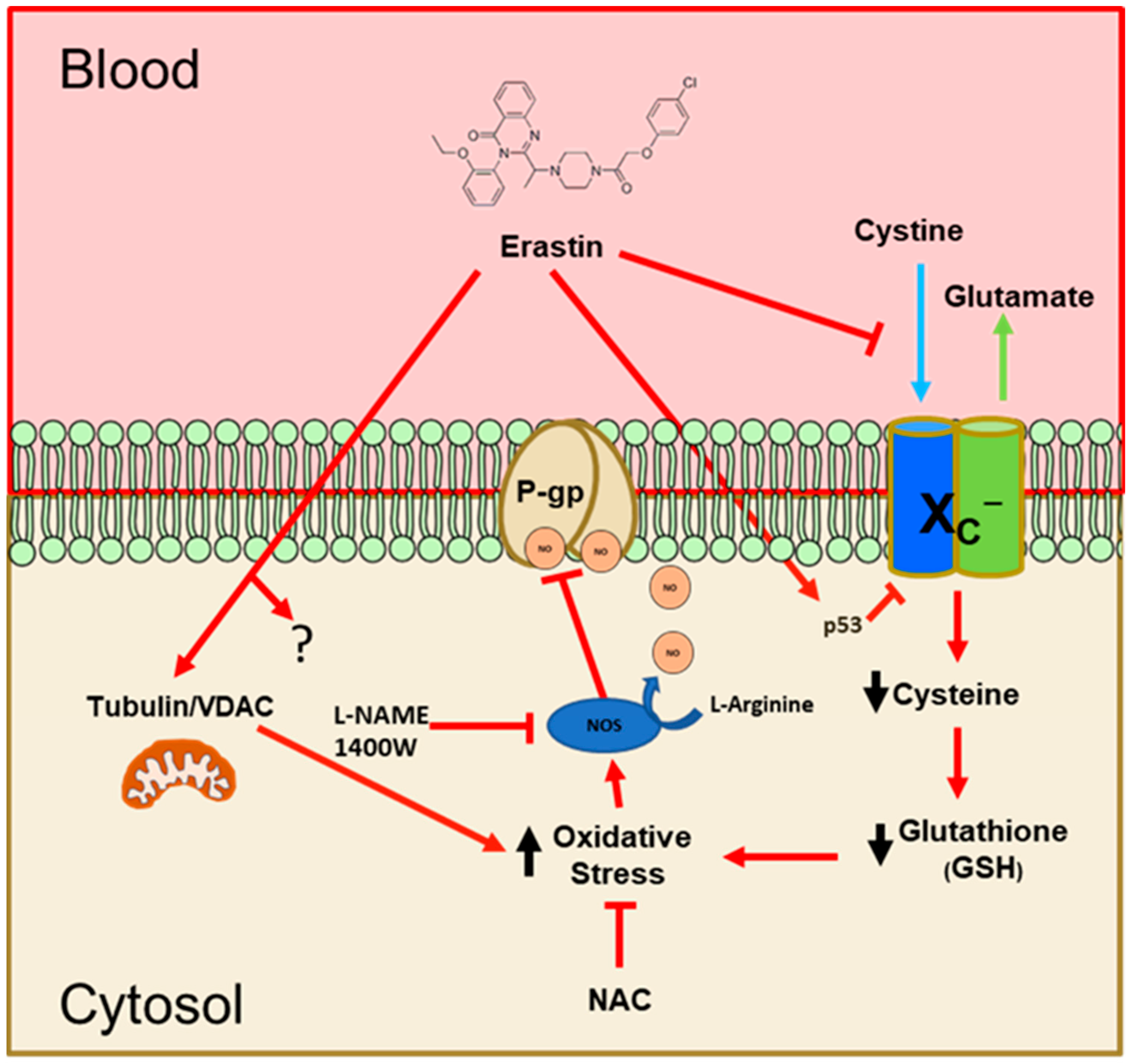 Cancers 16 01733 g008