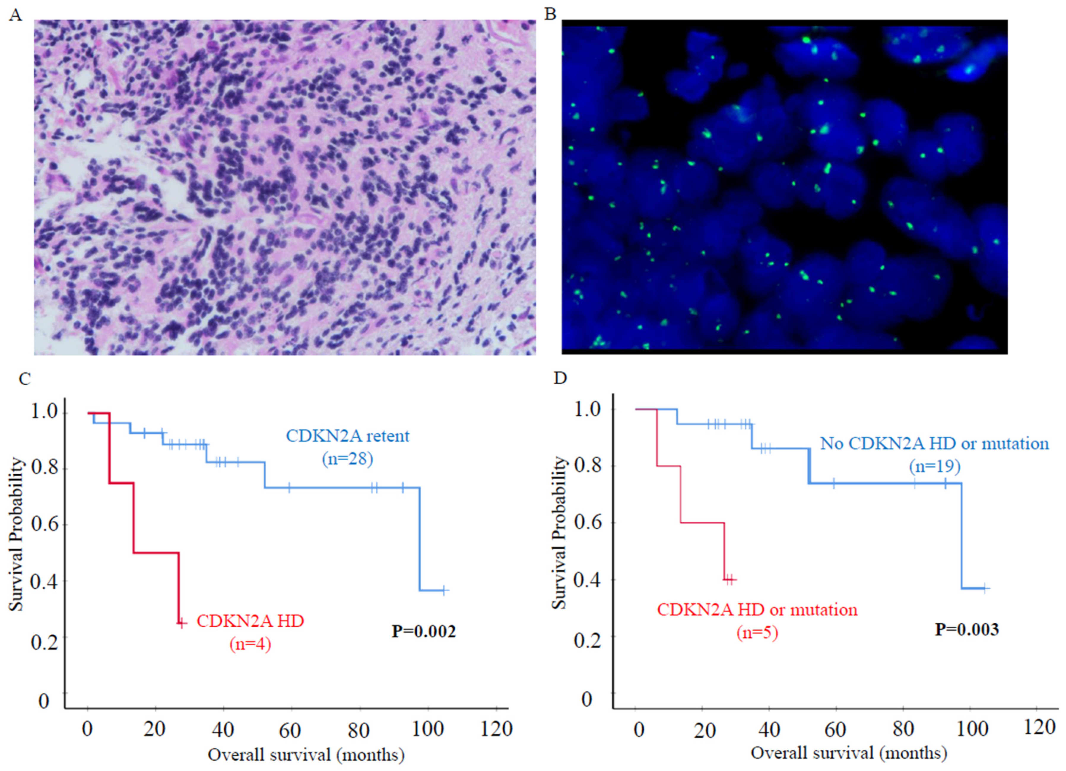 Cancers 16 01740 g004
