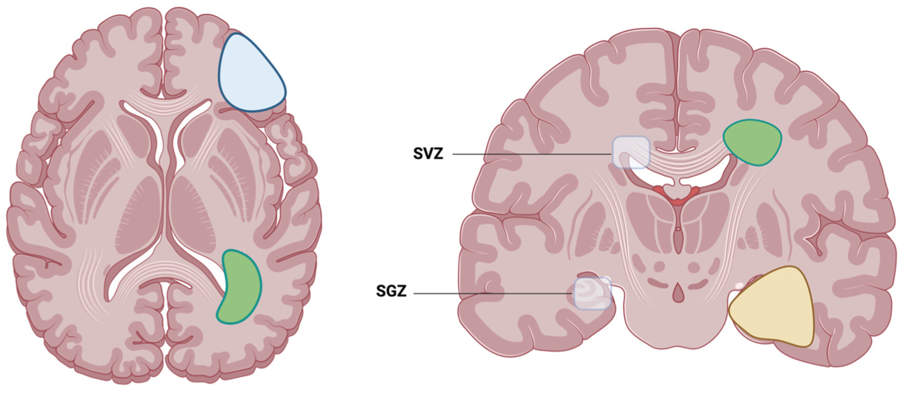 Cancers 16 01743 g001