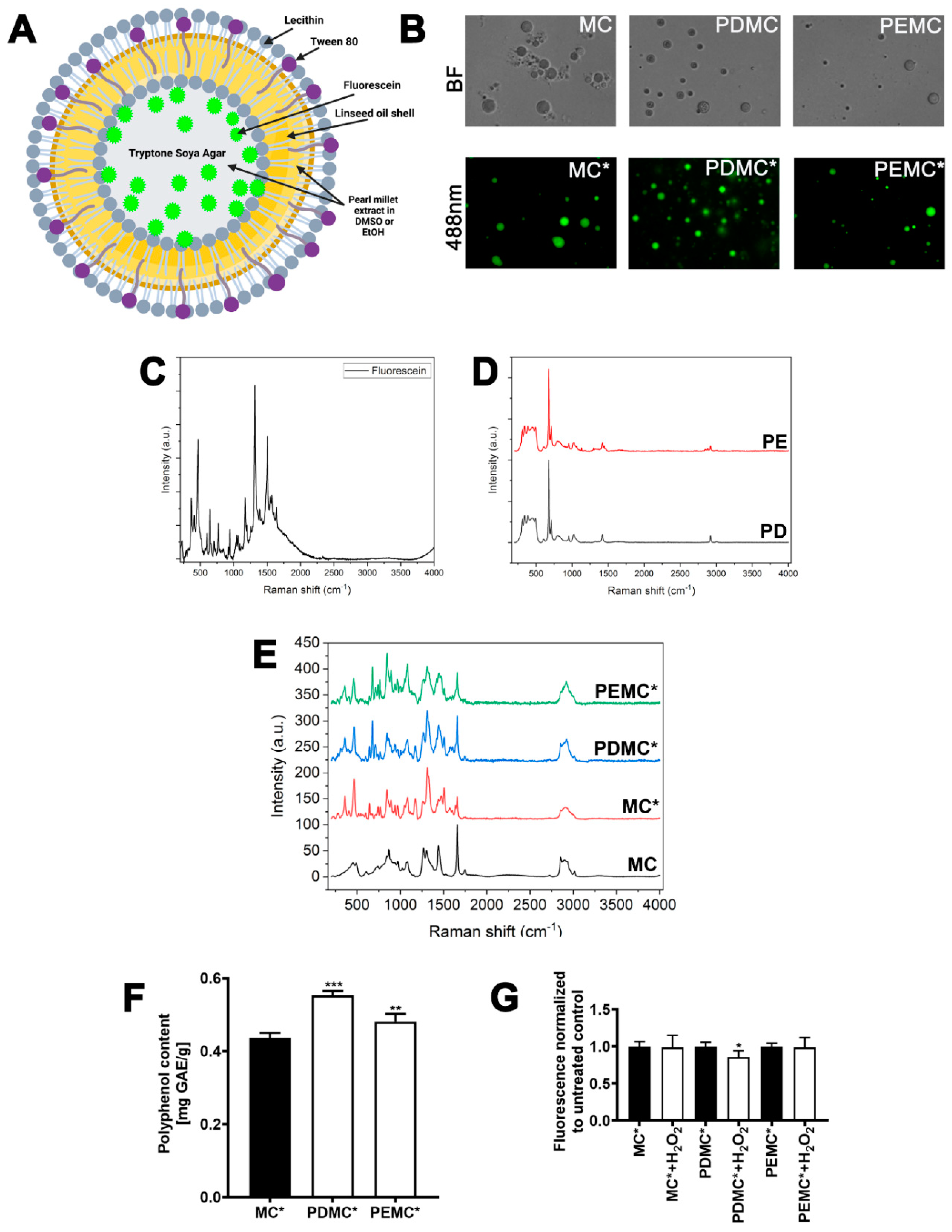 Cancers 16 01750 g002