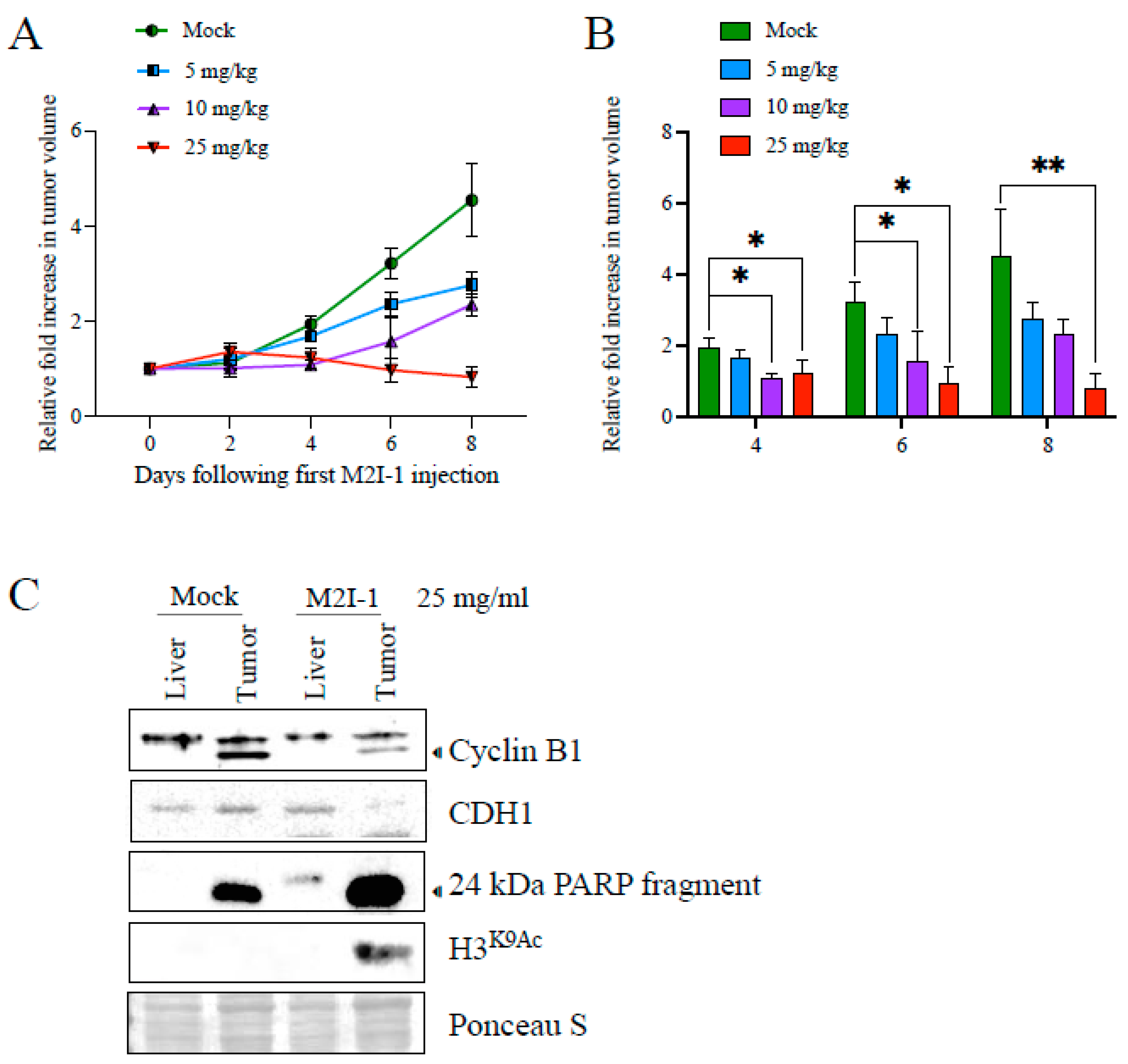 Cancers 16 01755 g004