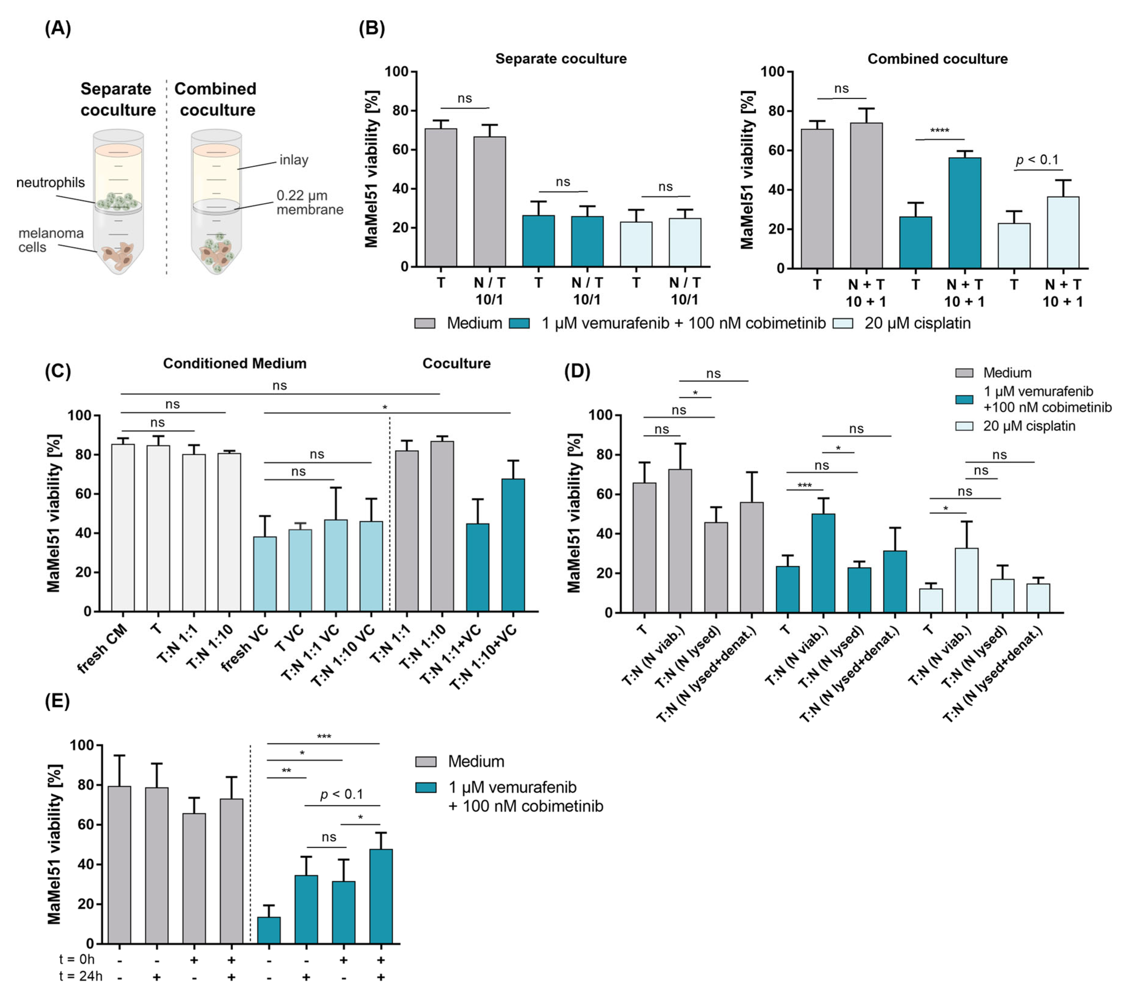 Cancers 16 01767 g003