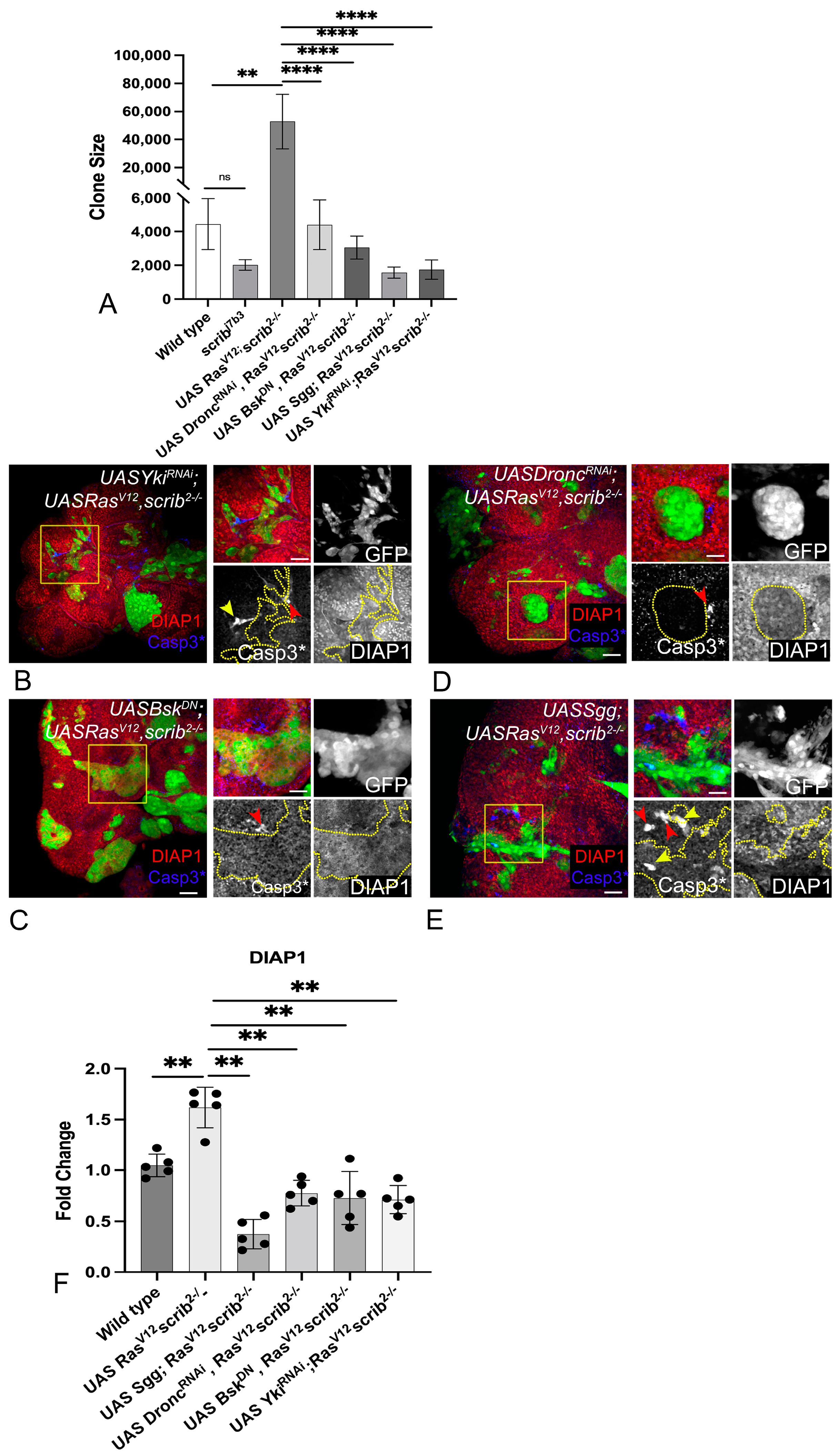 Cancers 16 01768 g002