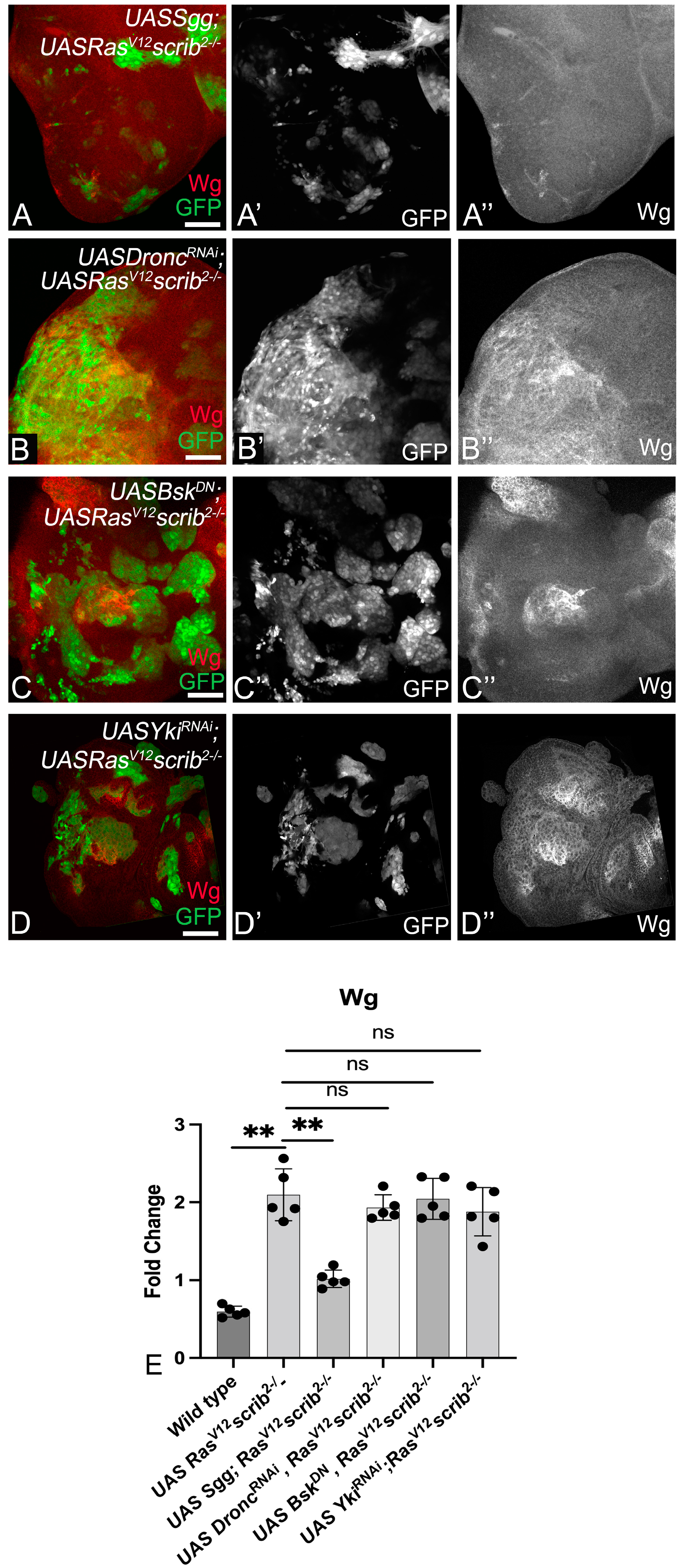 Cancers 16 01768 g003