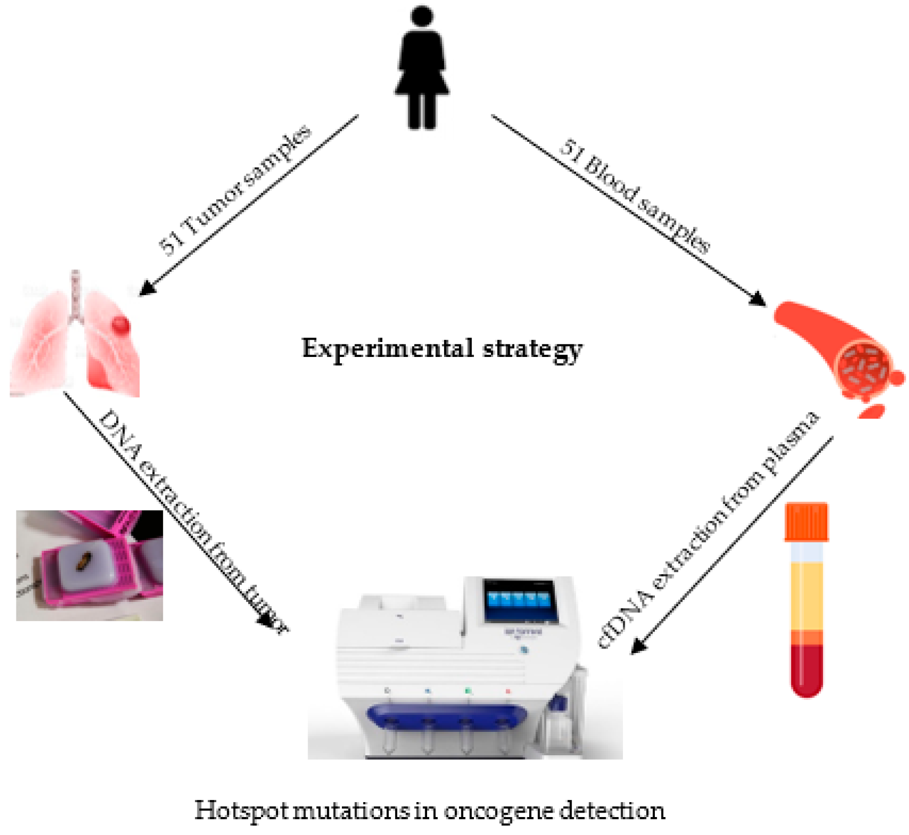Cancers 16 01770 g001