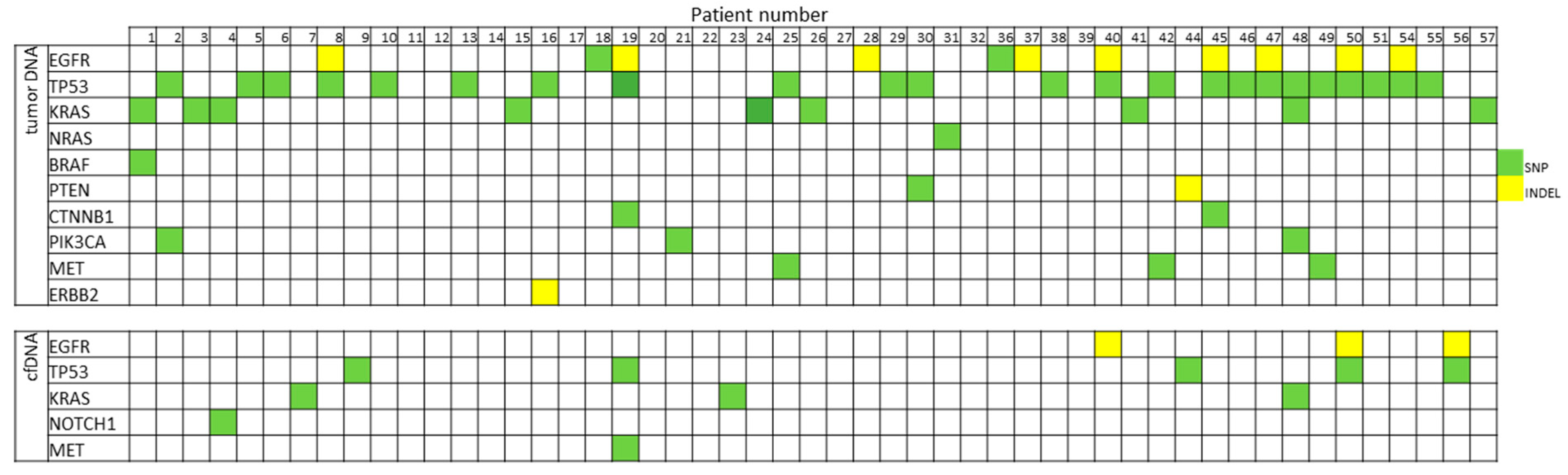 Cancers 16 01770 g002
