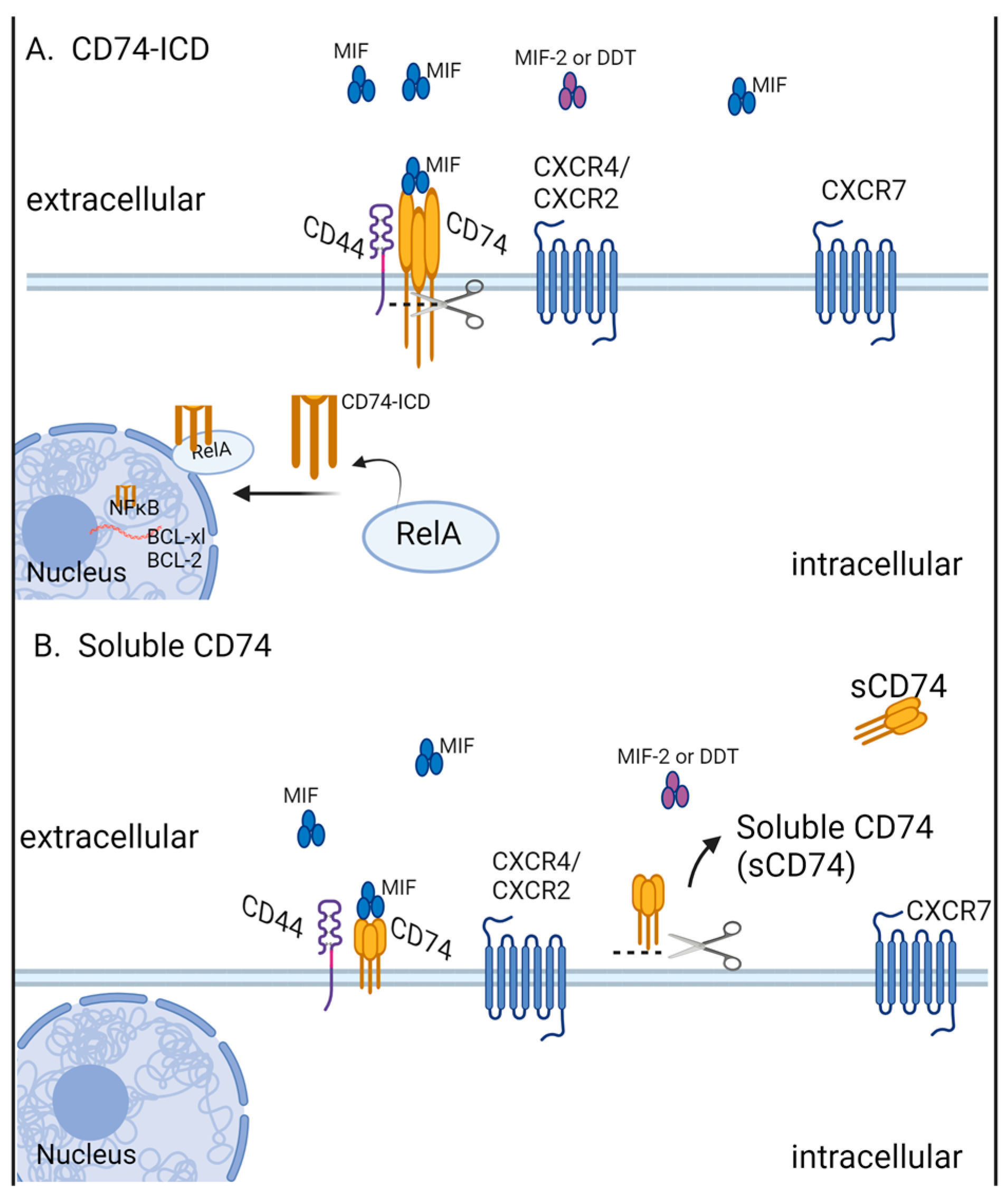 Cancers 16 01773 g001