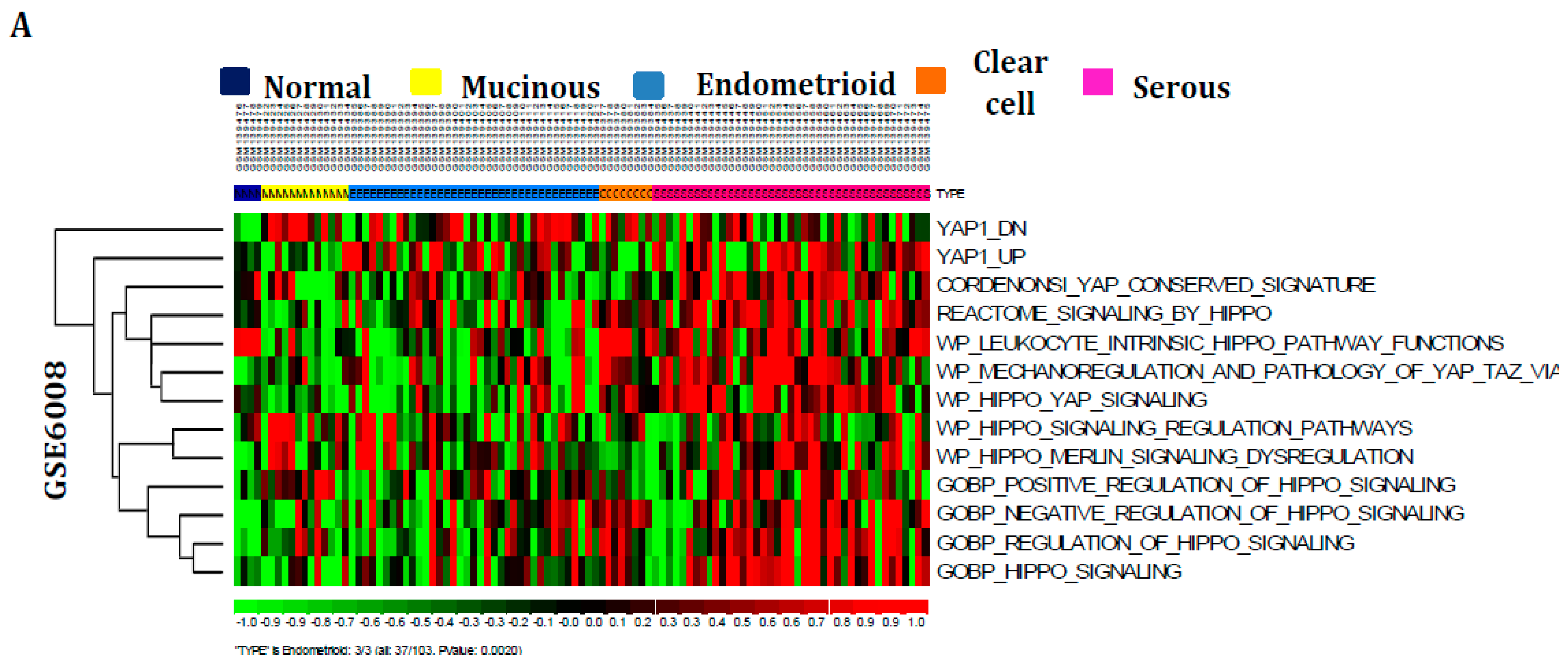 Cancers 16 01781 g001a
