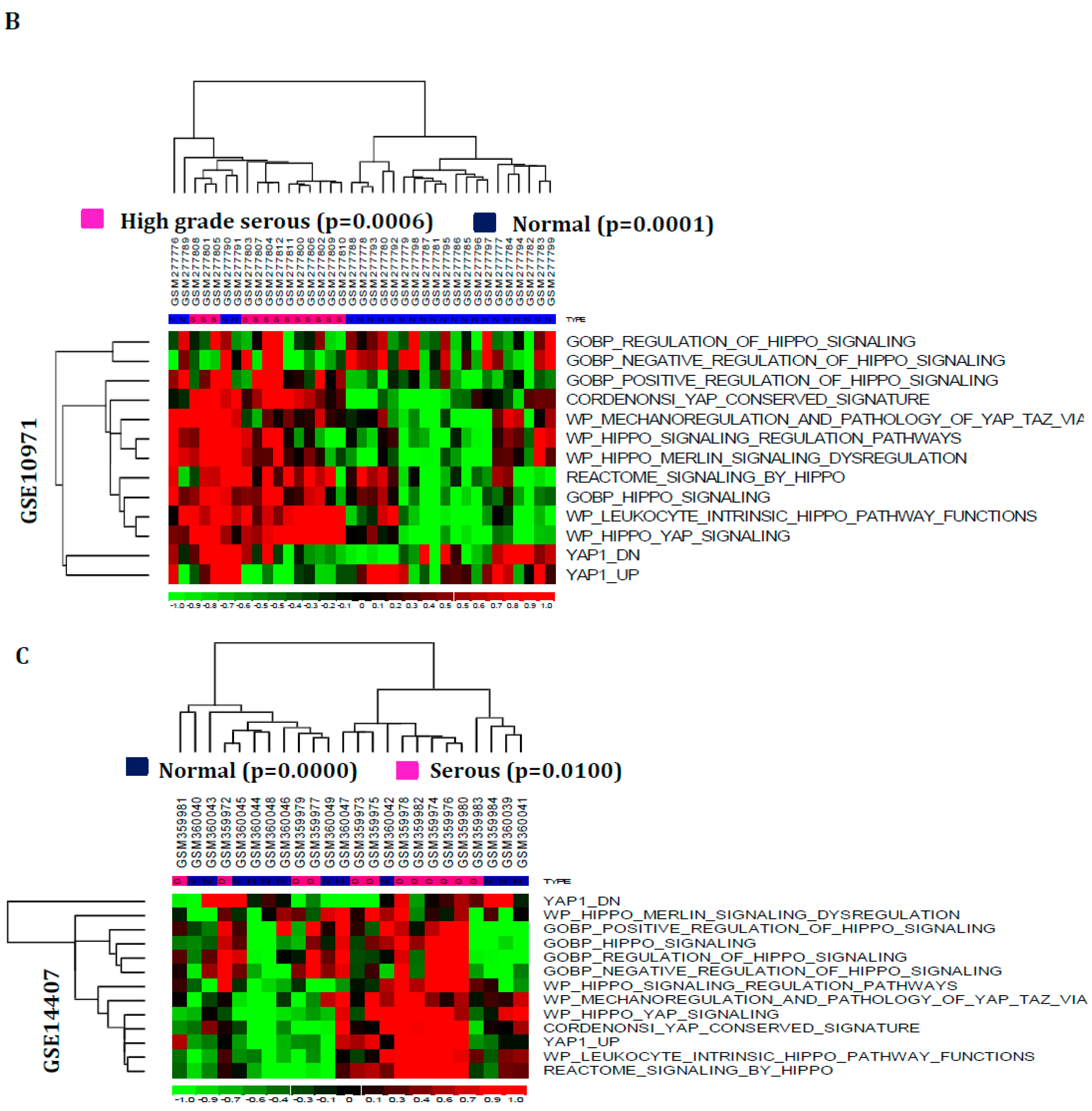Cancers 16 01781 g001b
