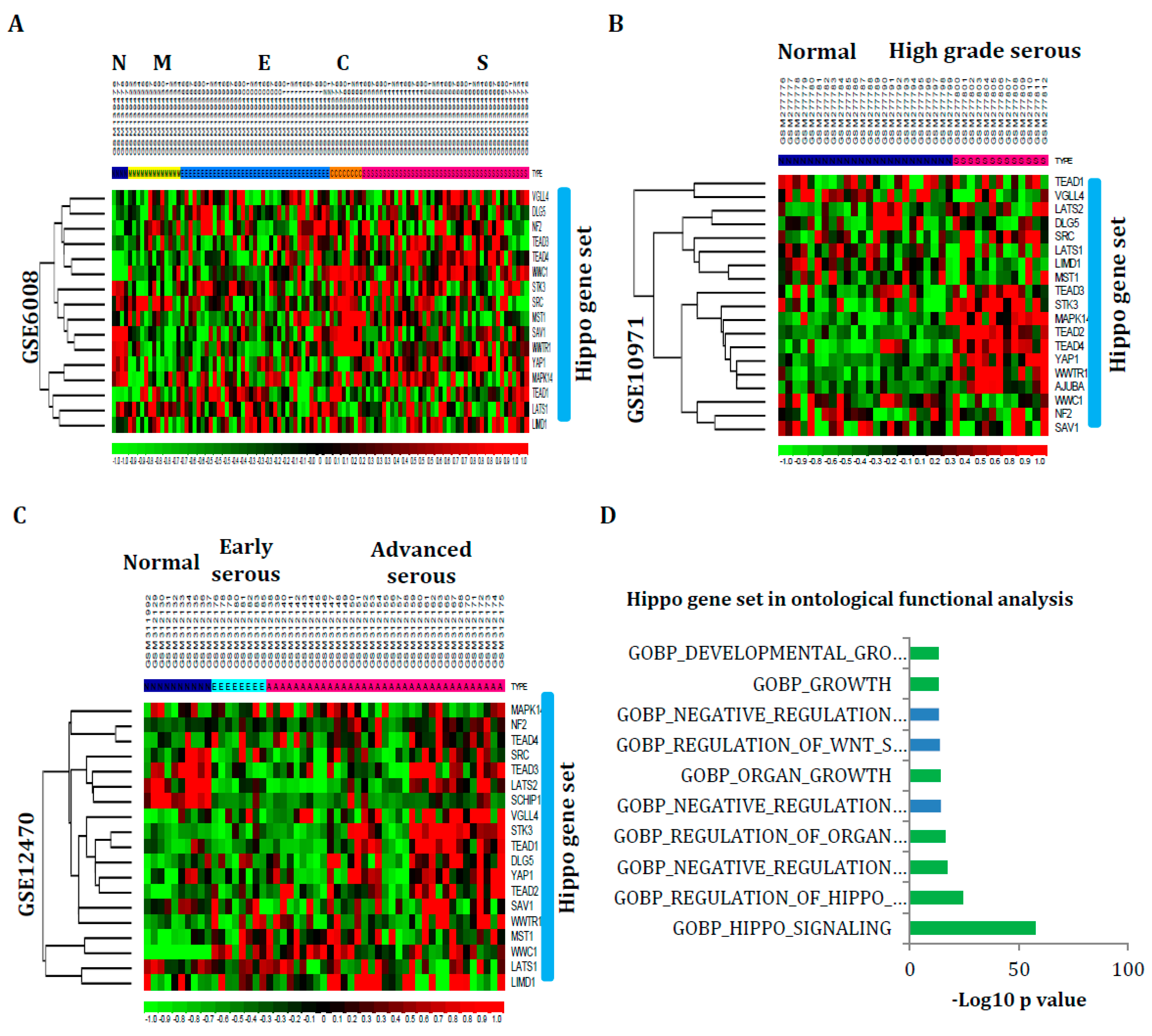 Cancers 16 01781 g002a
