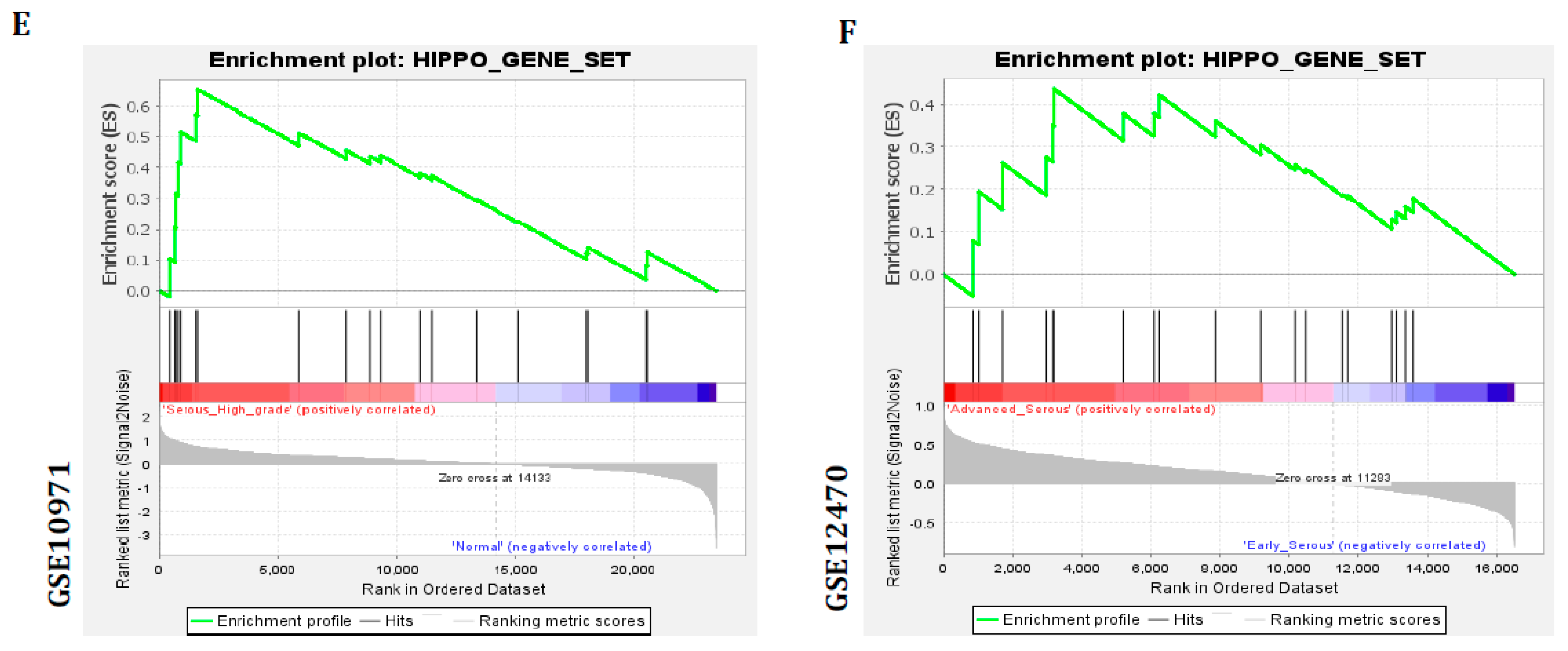 Cancers 16 01781 g002b