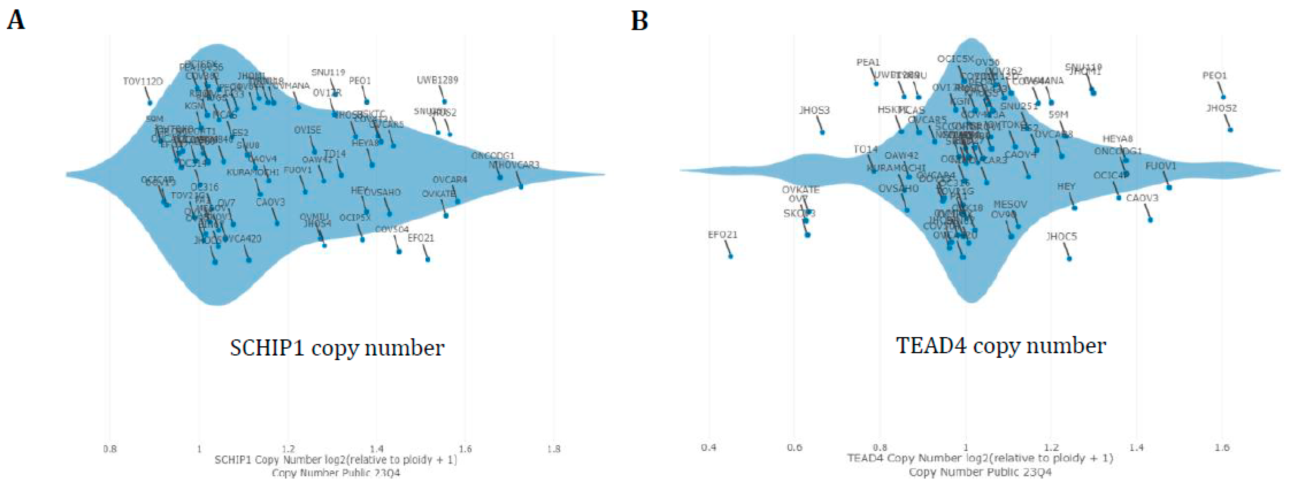 Cancers 16 01781 g005a