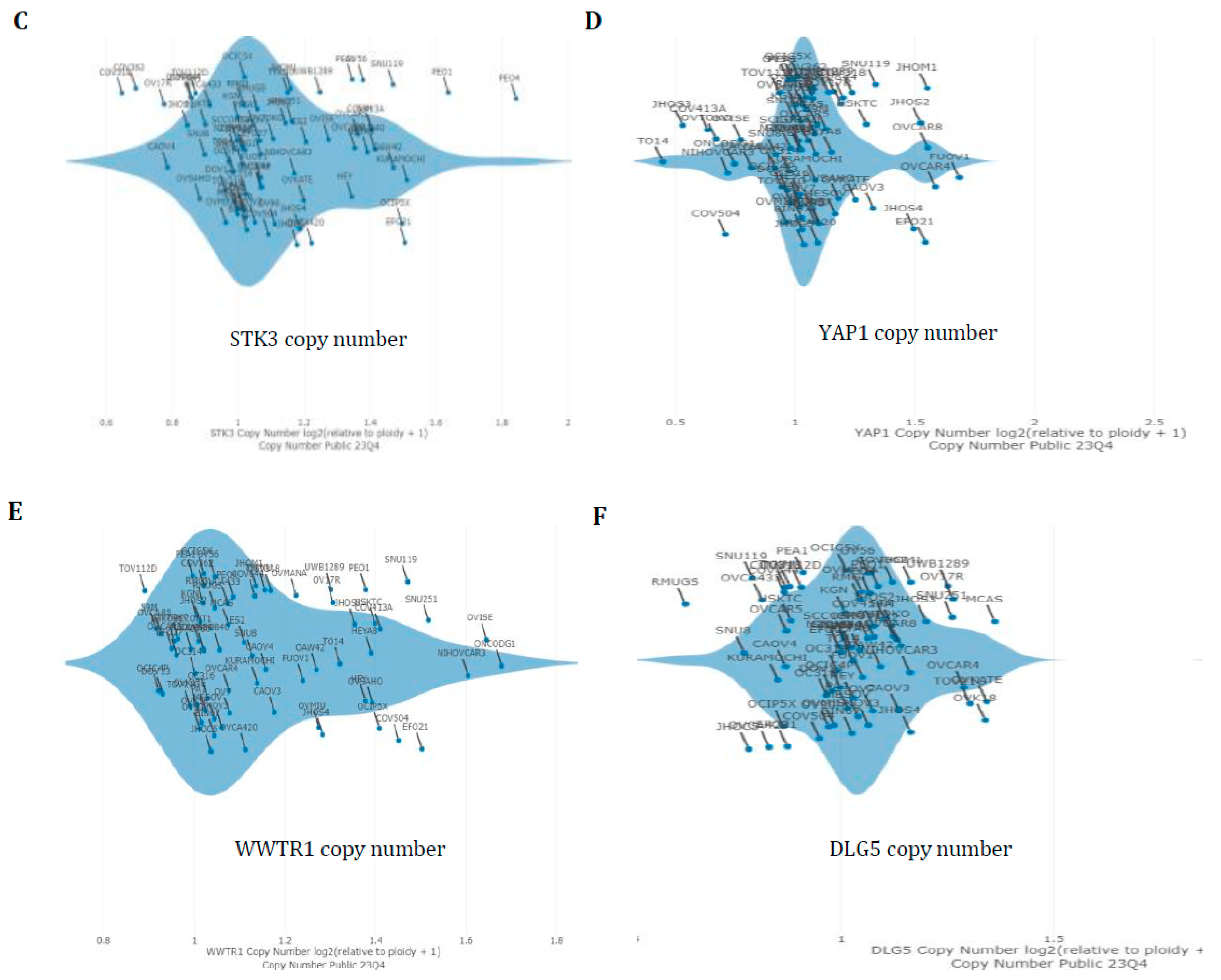 Cancers 16 01781 g005b