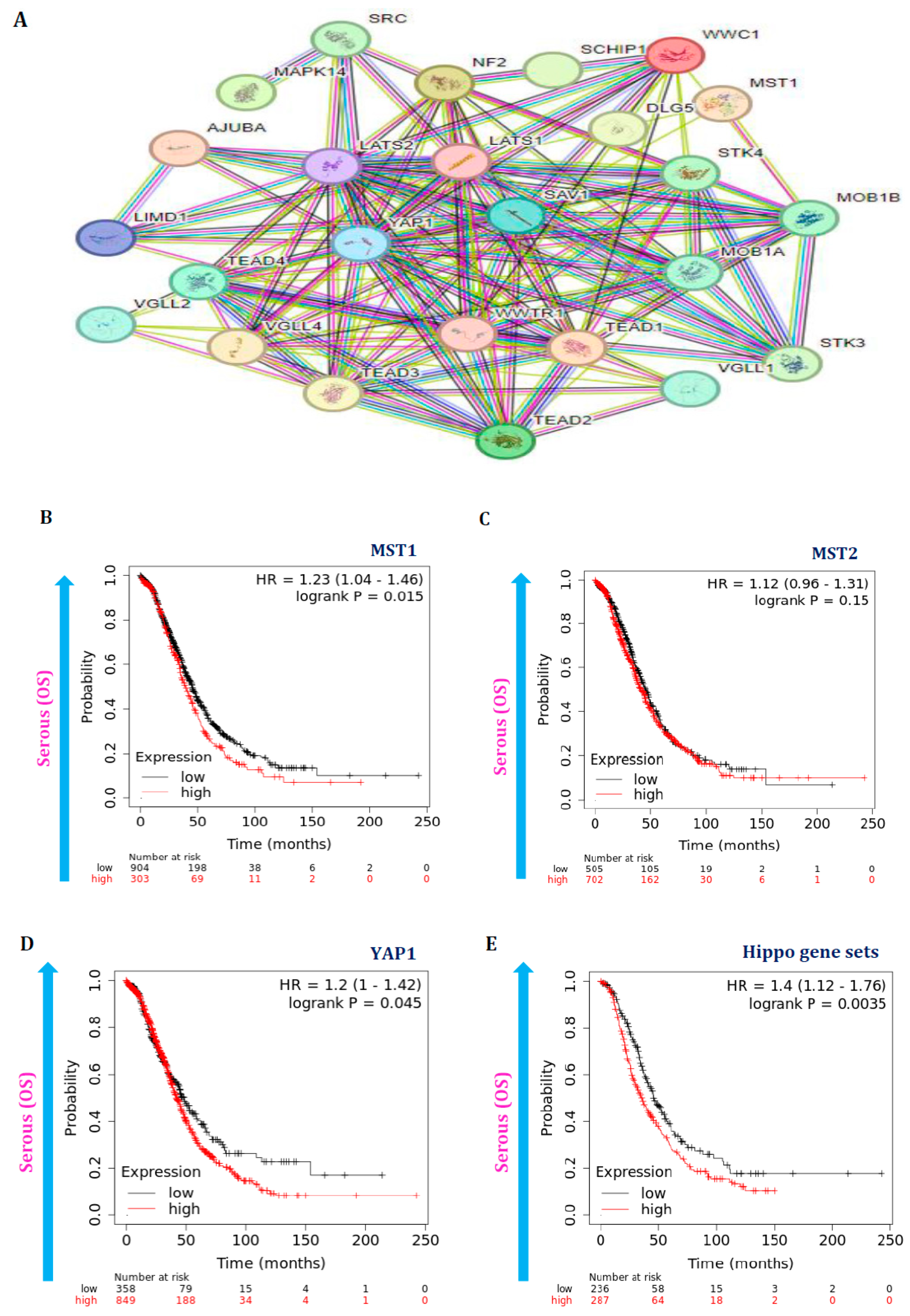 Cancers 16 01781 g006