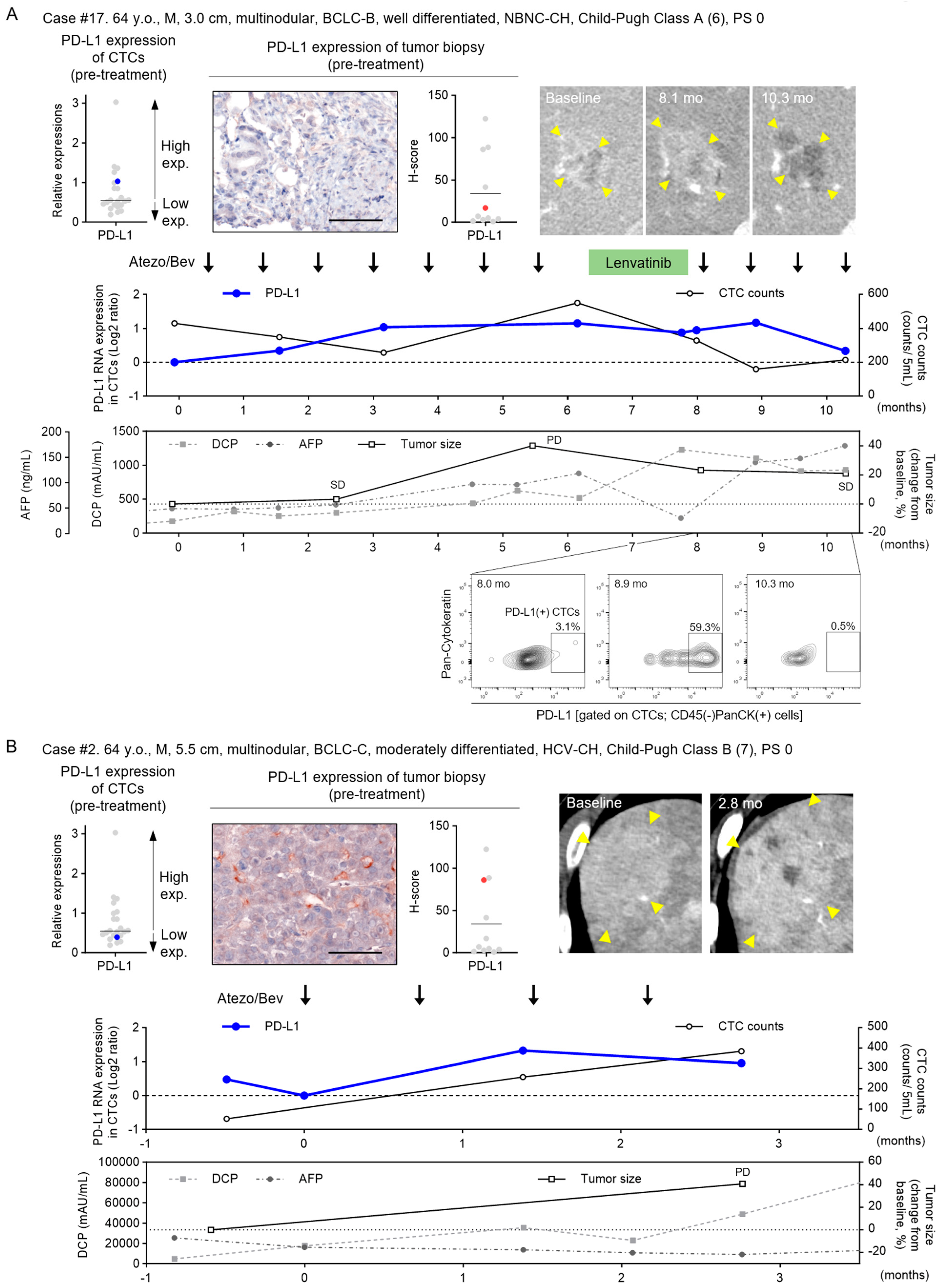 Cancers 16 01785 g005
