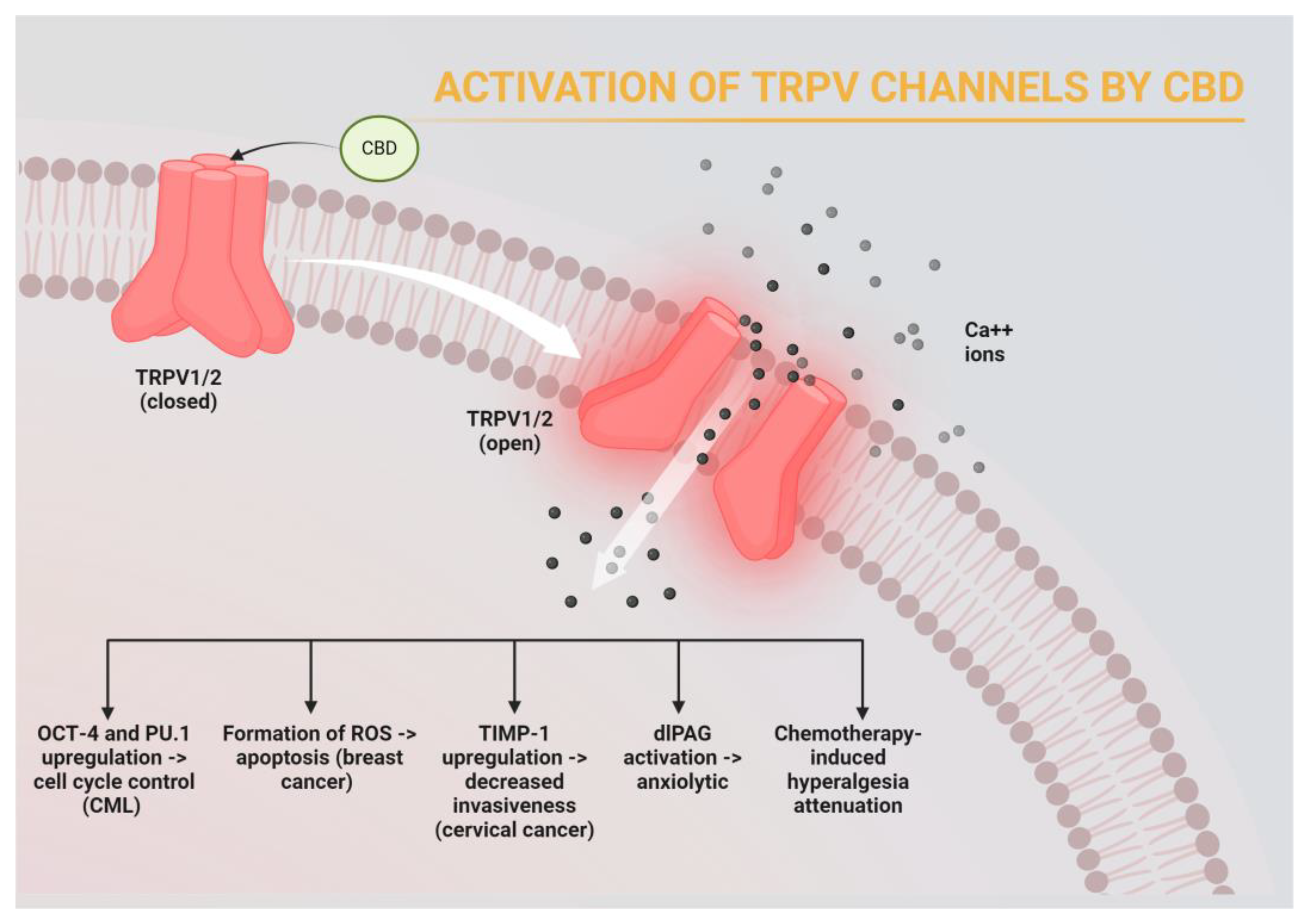 Cancers 16 01786 g003