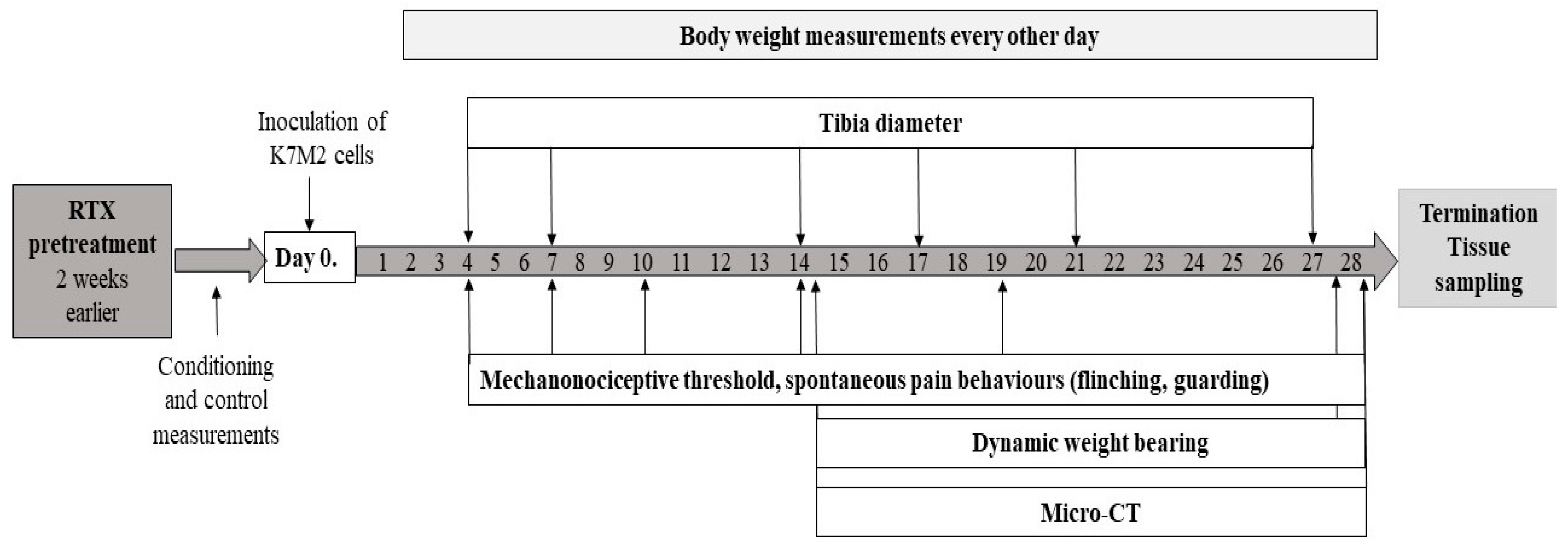 Cancers 16 01788 g001