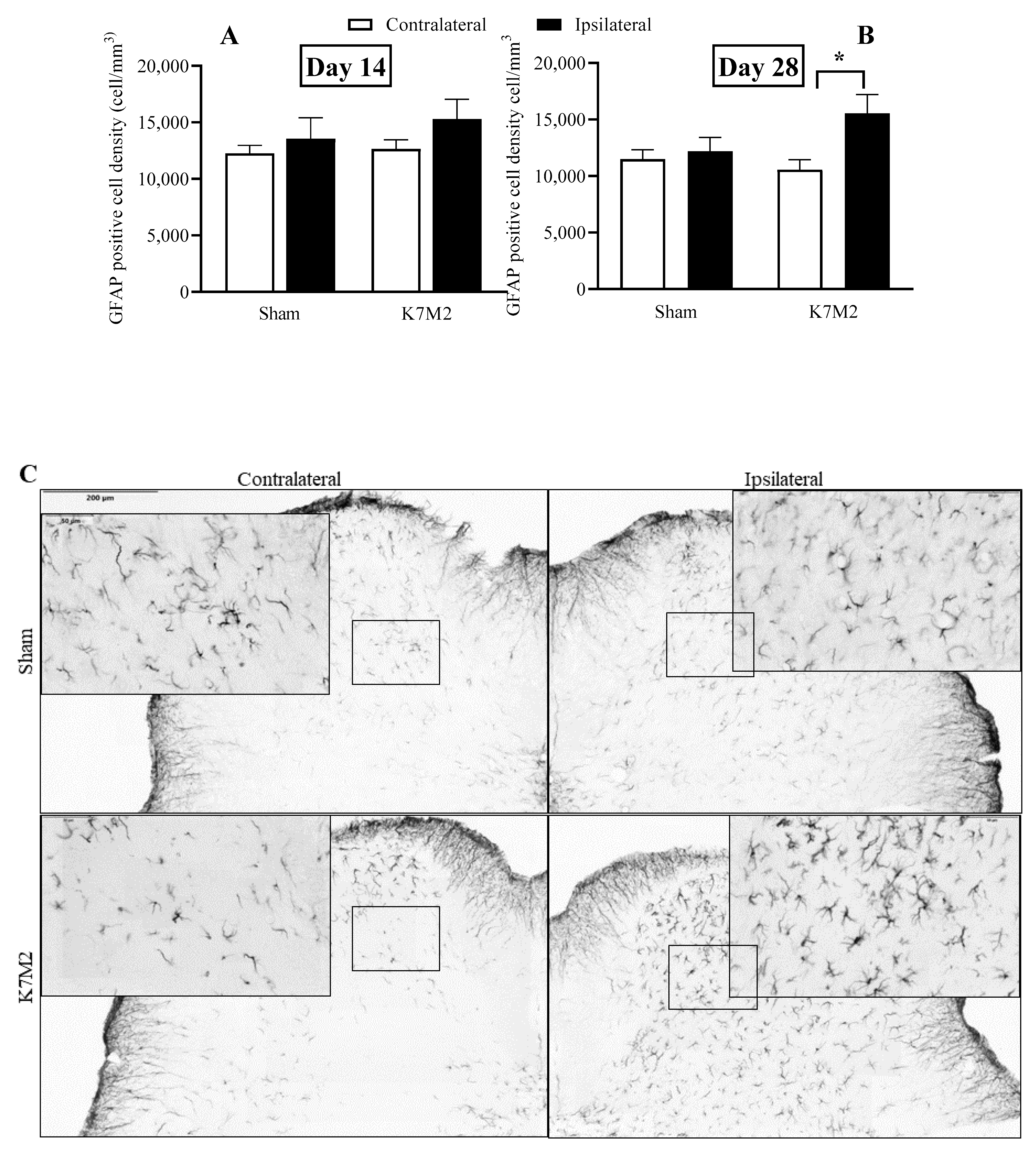 Cancers 16 01788 g006