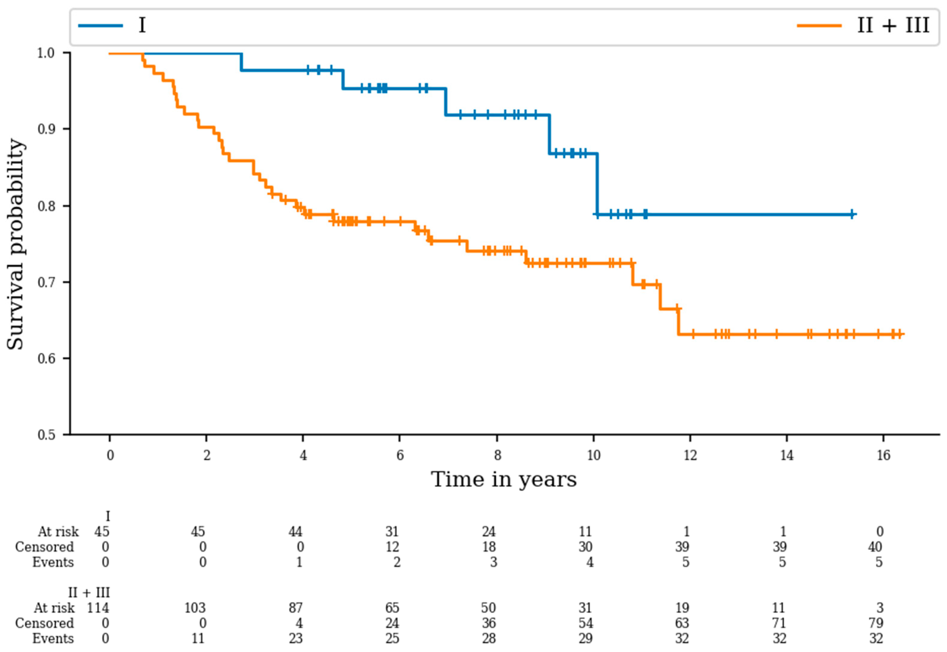 Cancers 16 01789 g001 Cancers 16 01789 g001