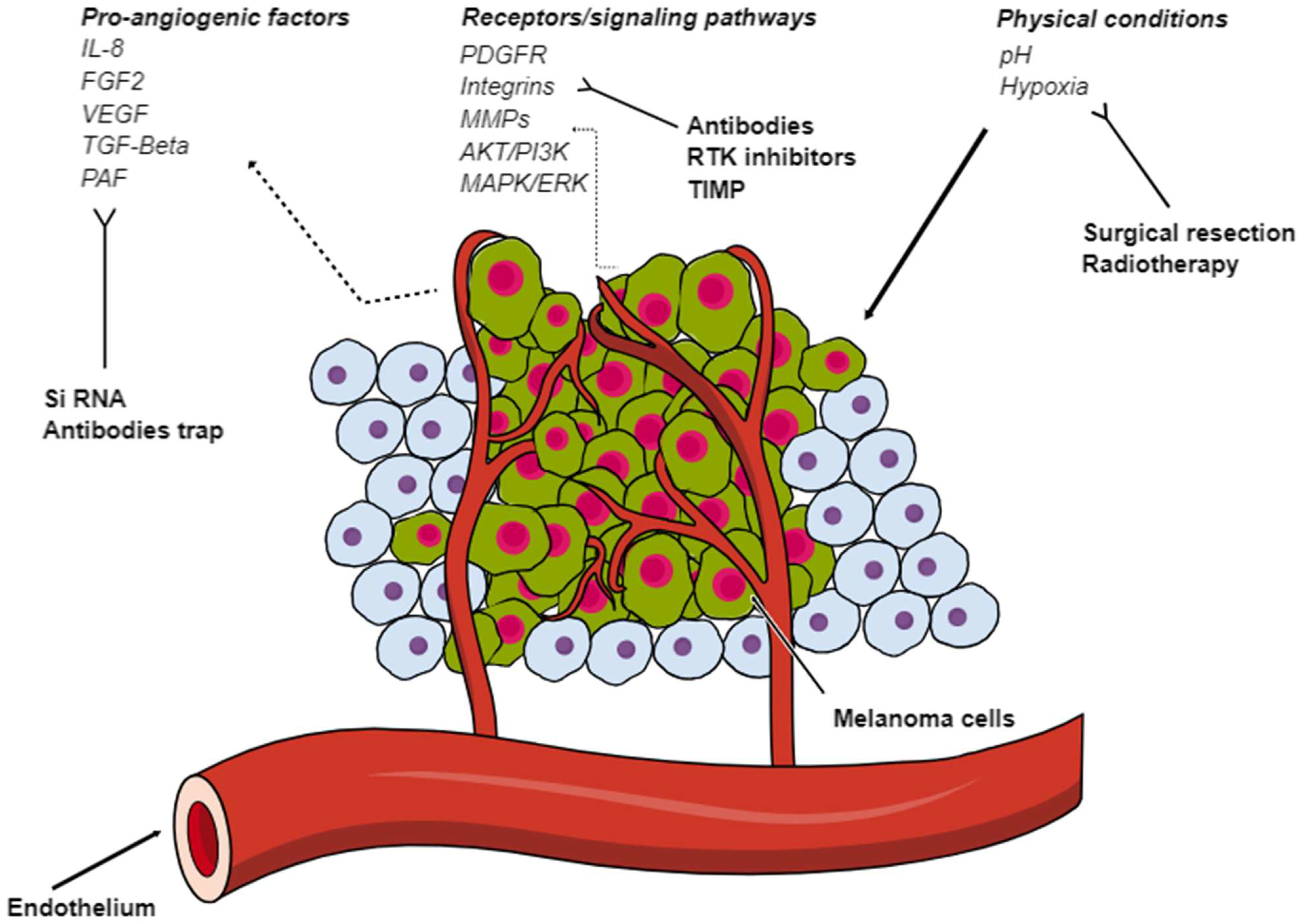 Cancers 16 01794 g001