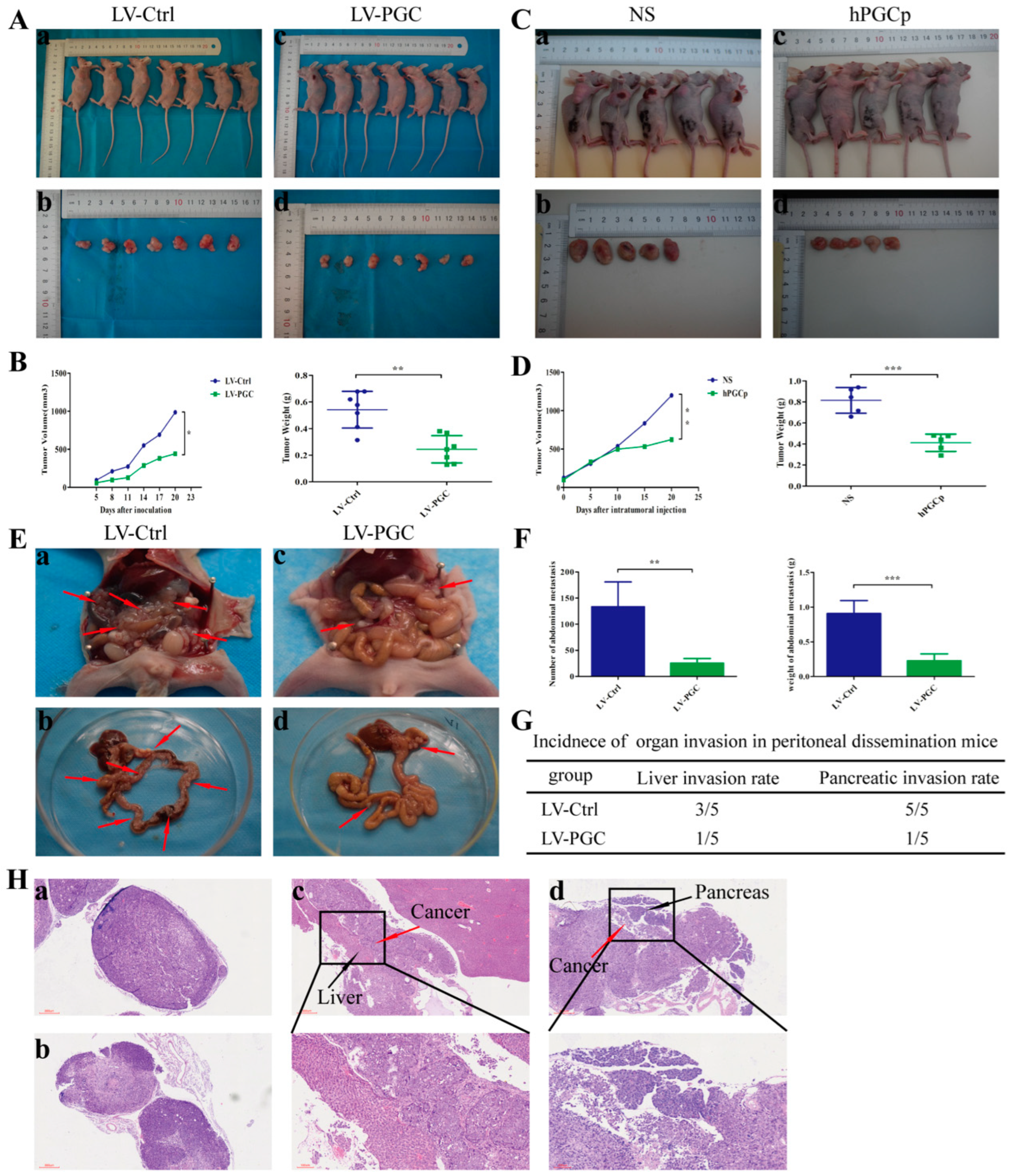 Cancers 16 01796 g002 Cancers 16 01796 g002