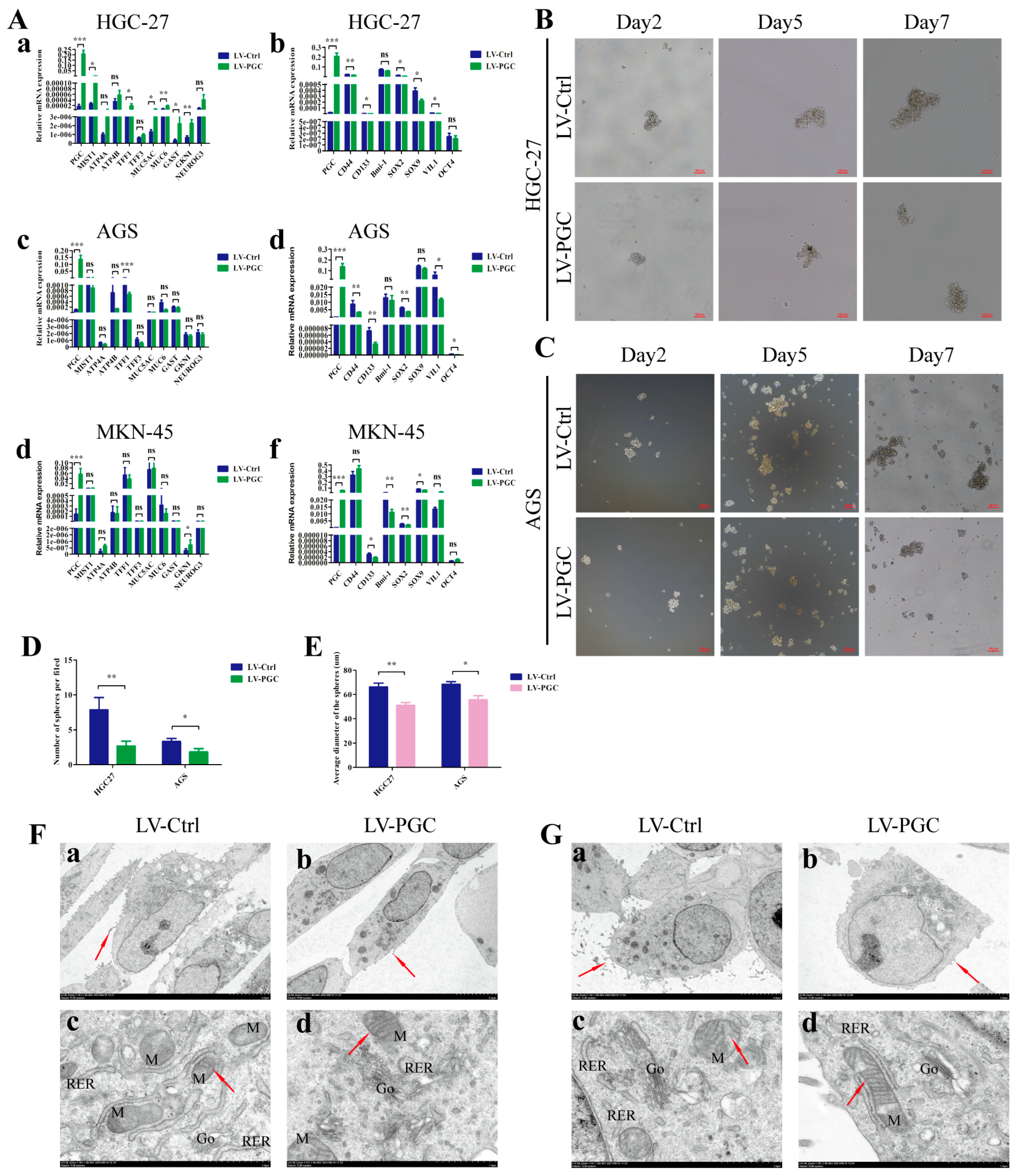 Cancers 16 01796 g003 Cancers 16 01796 g003