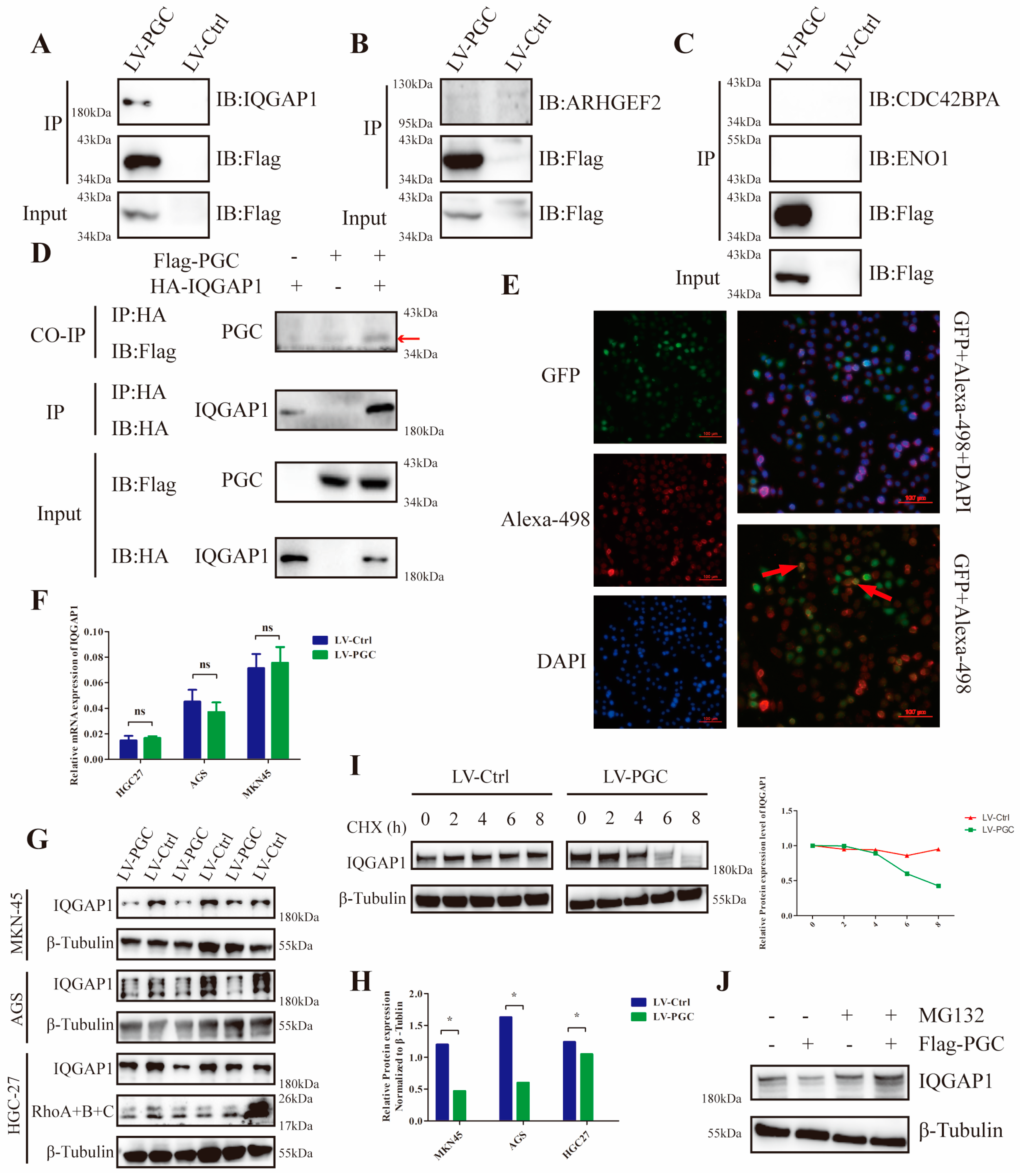 Cancers 16 01796 g004 Cancers 16 01796 g004