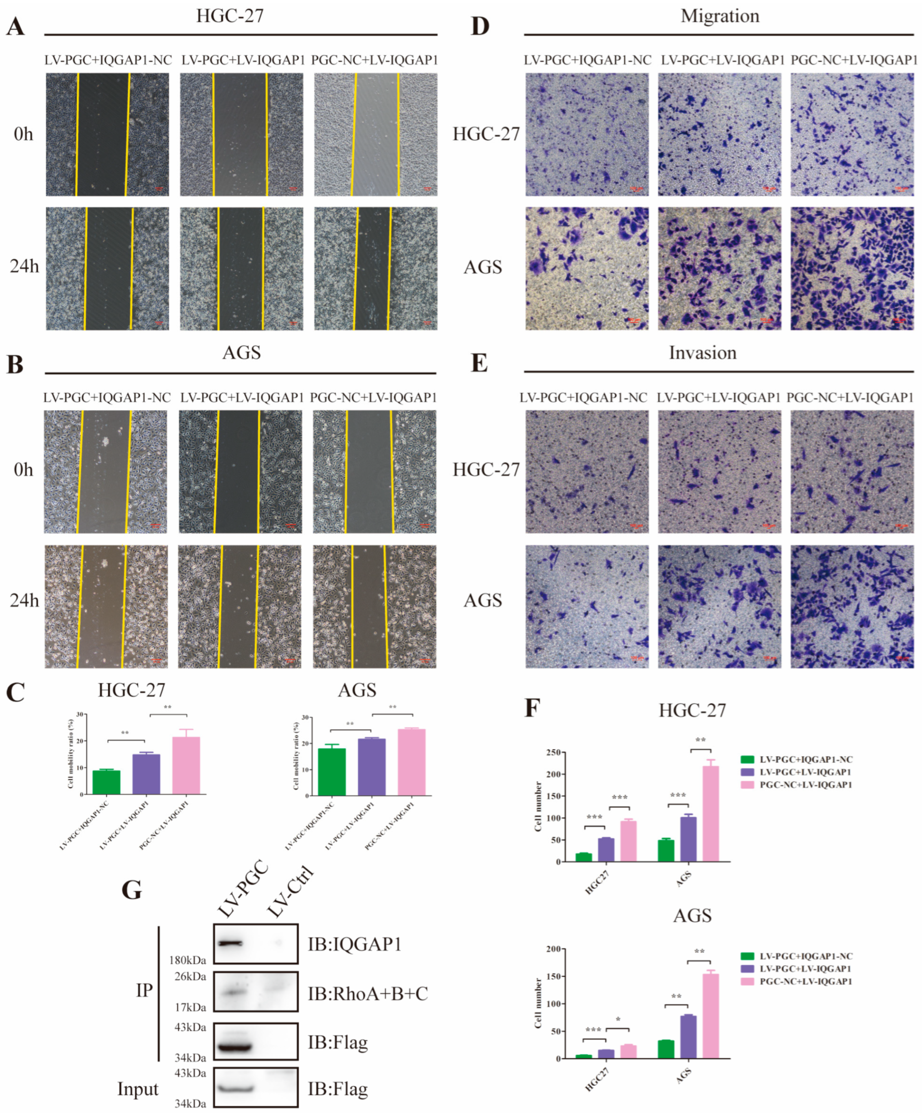 Cancers 16 01796 g005 Cancers 16 01796 g005