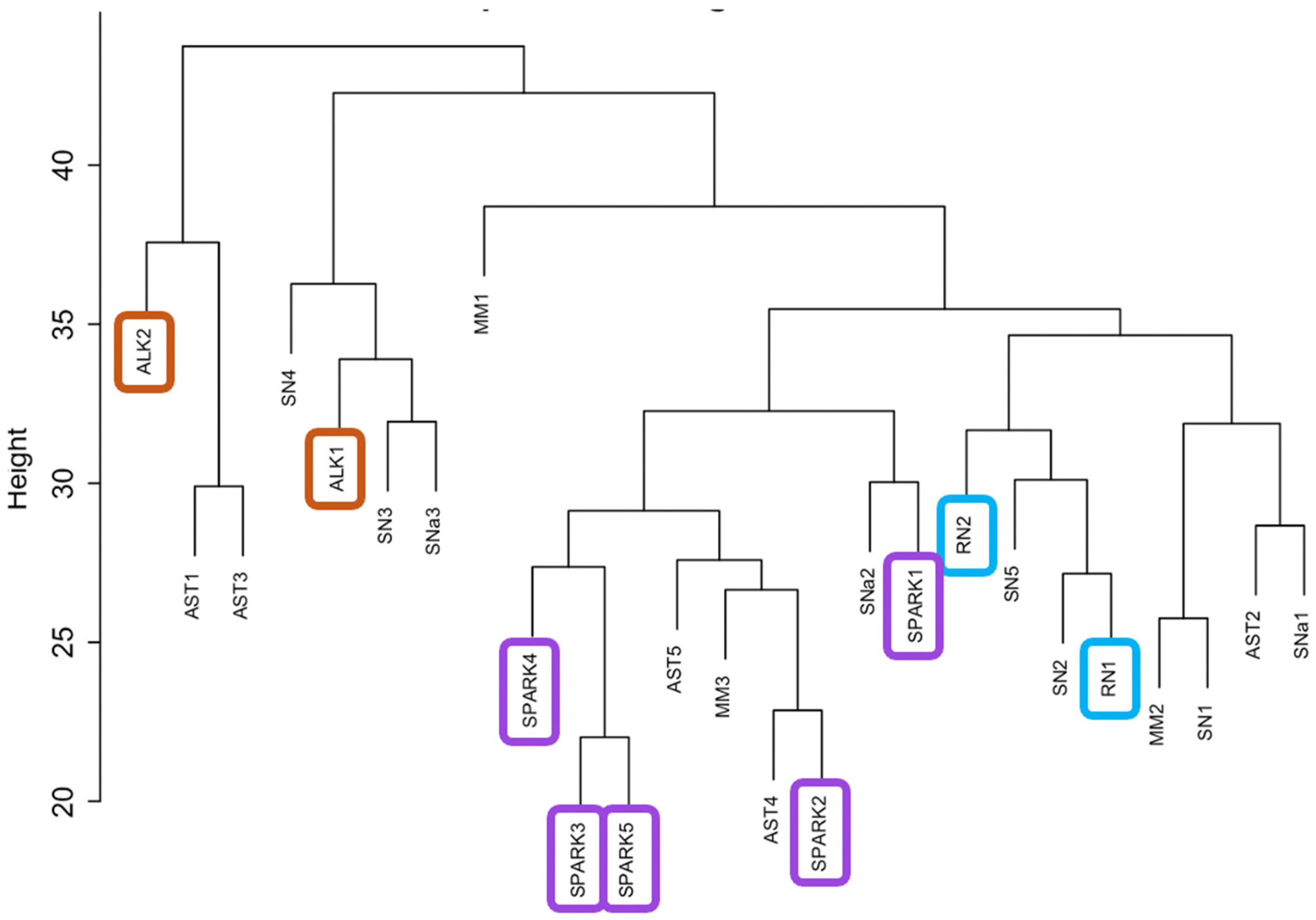 Cancers 16 01798 g002