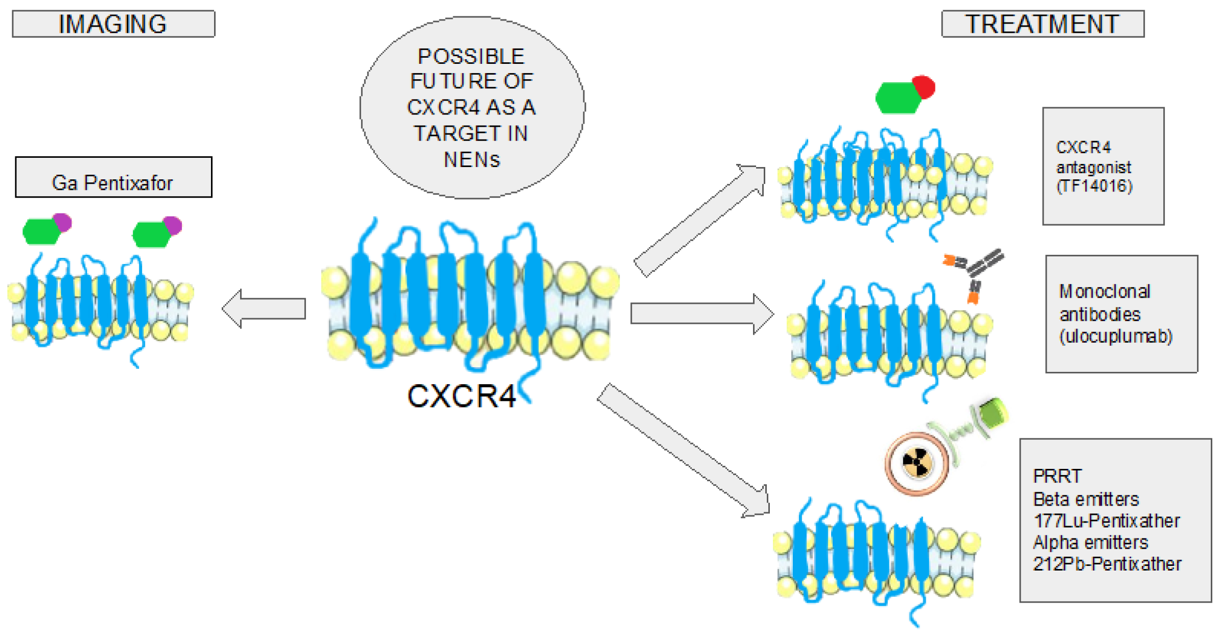 Cancers 16 01799 g002 Cancers 16 01799 g002