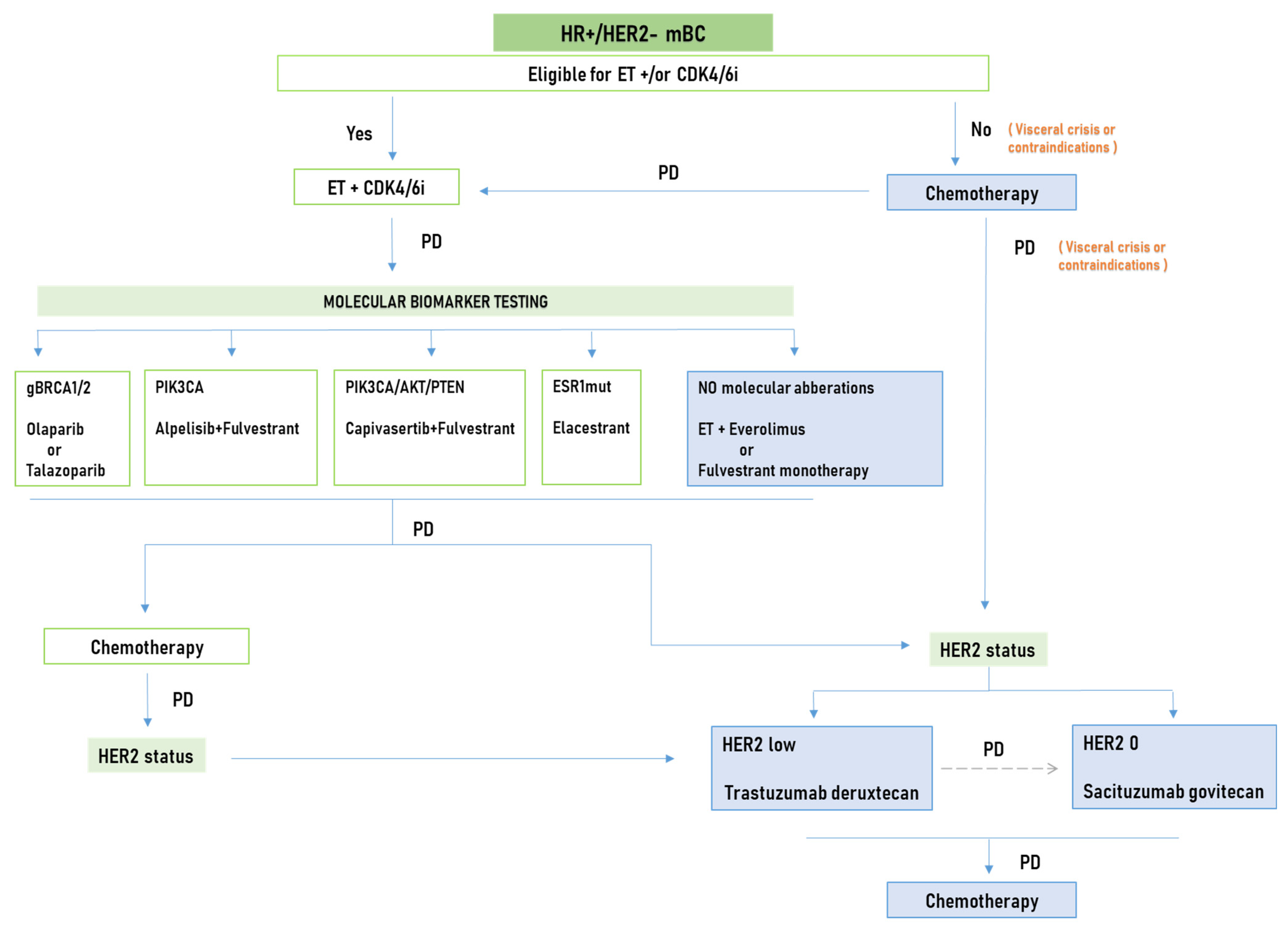 Cancers 16 01801 g001